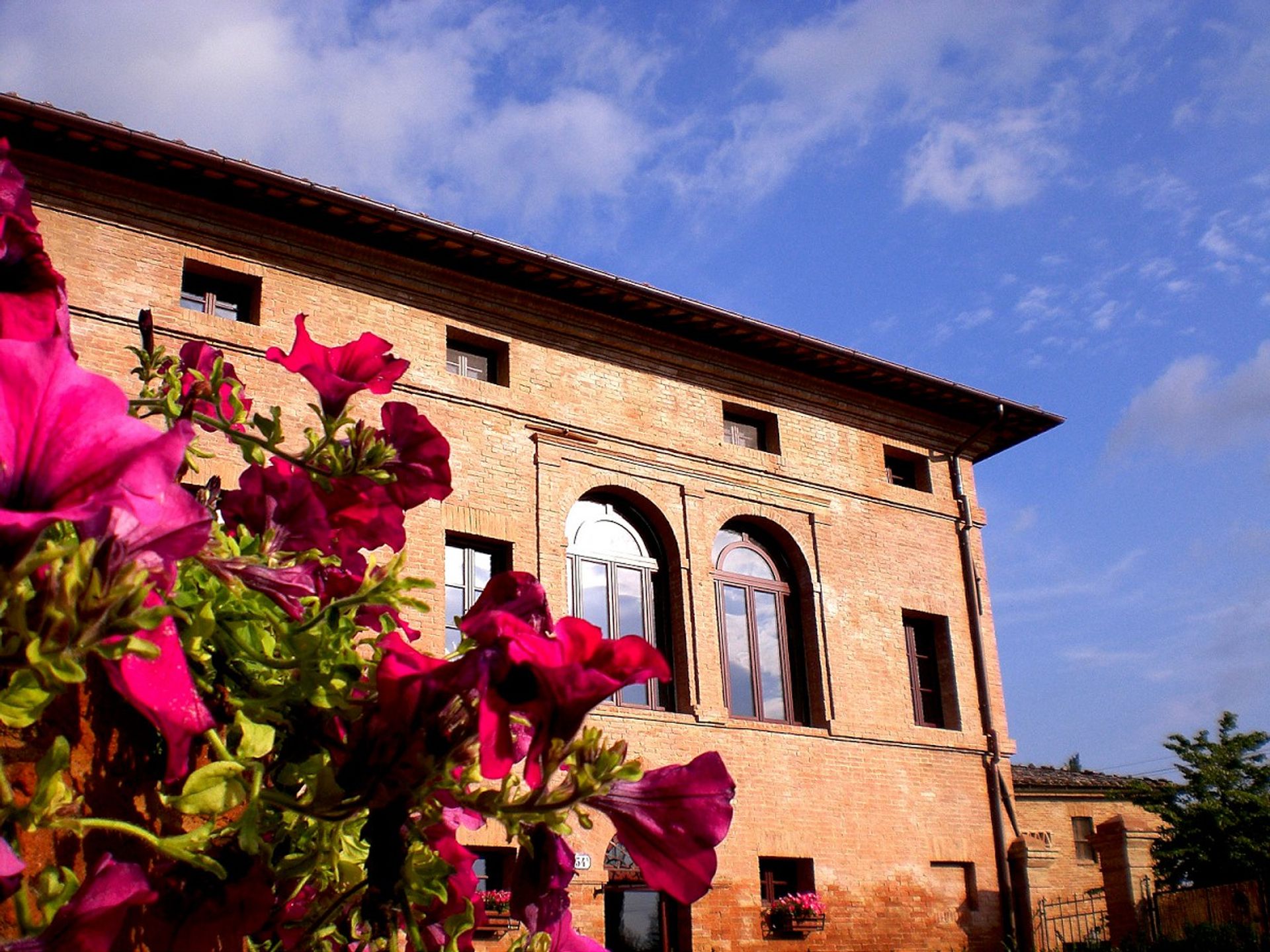 Detaljhandel i Montalcino, Toscana 10094928