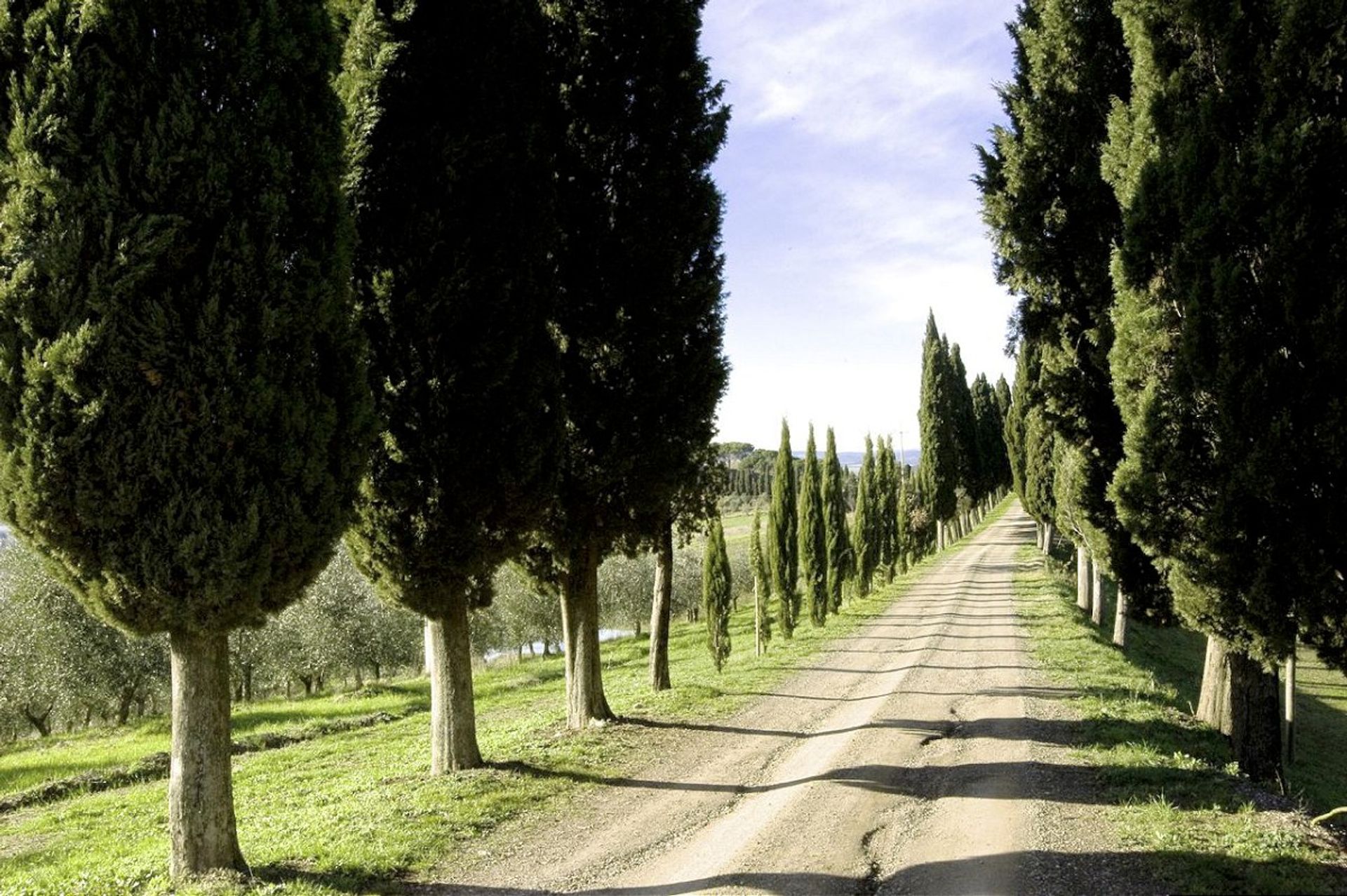 零售 在 Montalcino, Tuscany 10094928