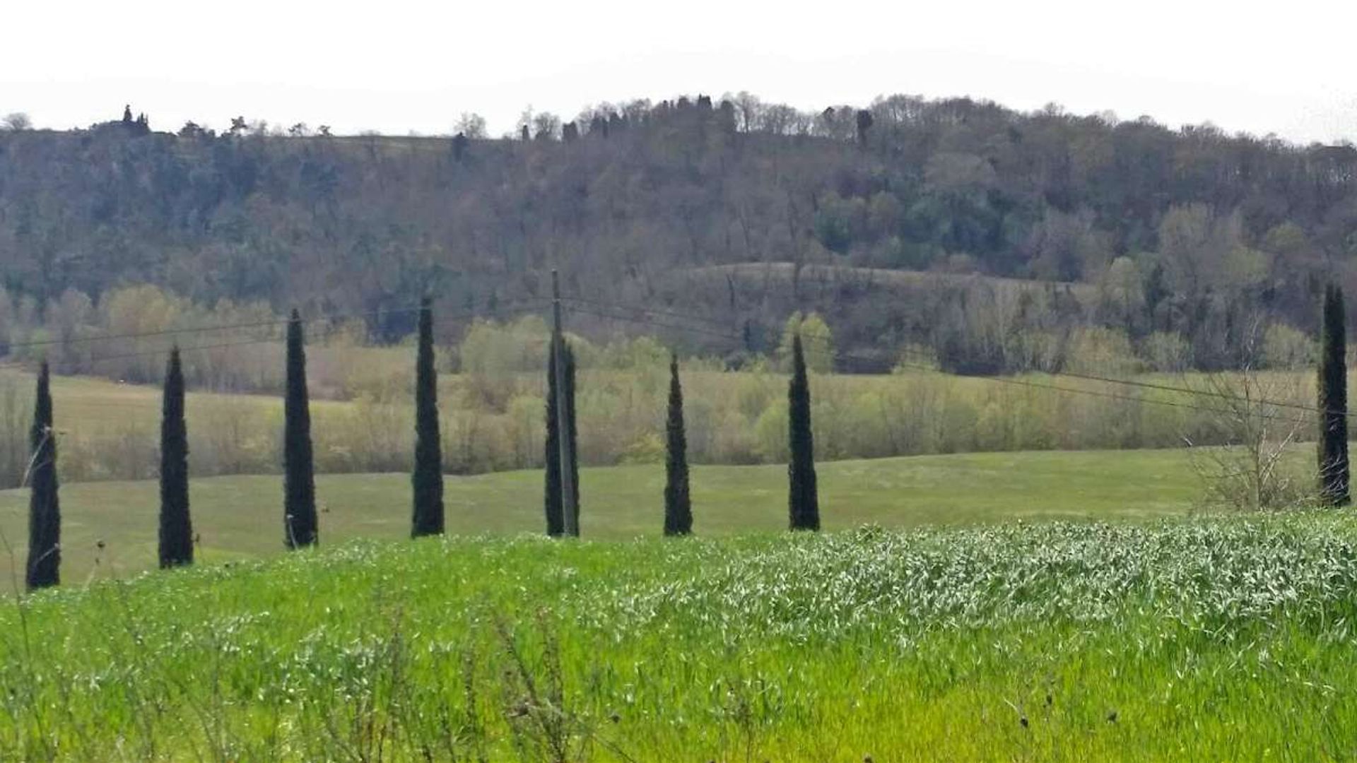 Hus i Peccioli, Toscana 10094956