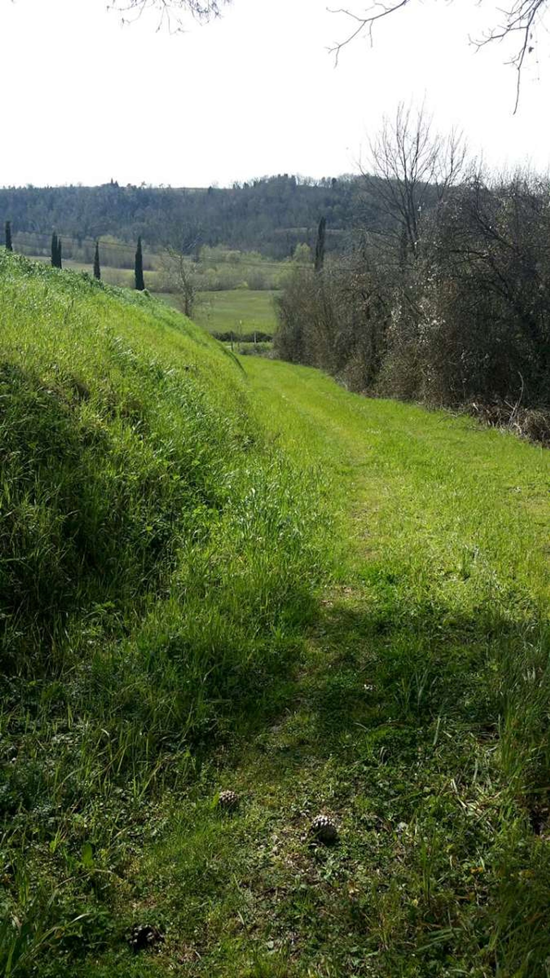 Hus i Peccioli, Toscana 10094956