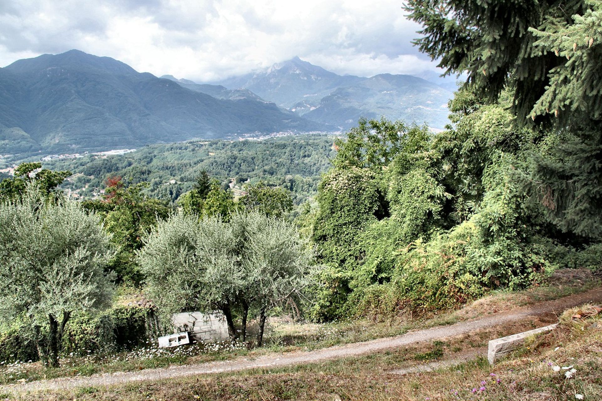 Hus i Barga, Tuscany 10094989