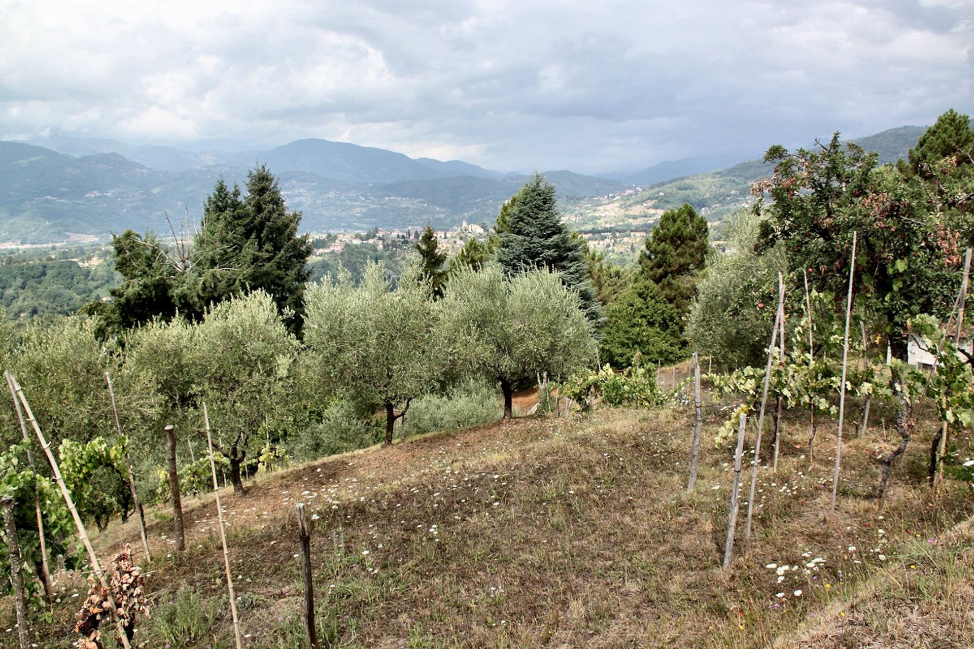 Hus i Barga, Tuscany 10094989