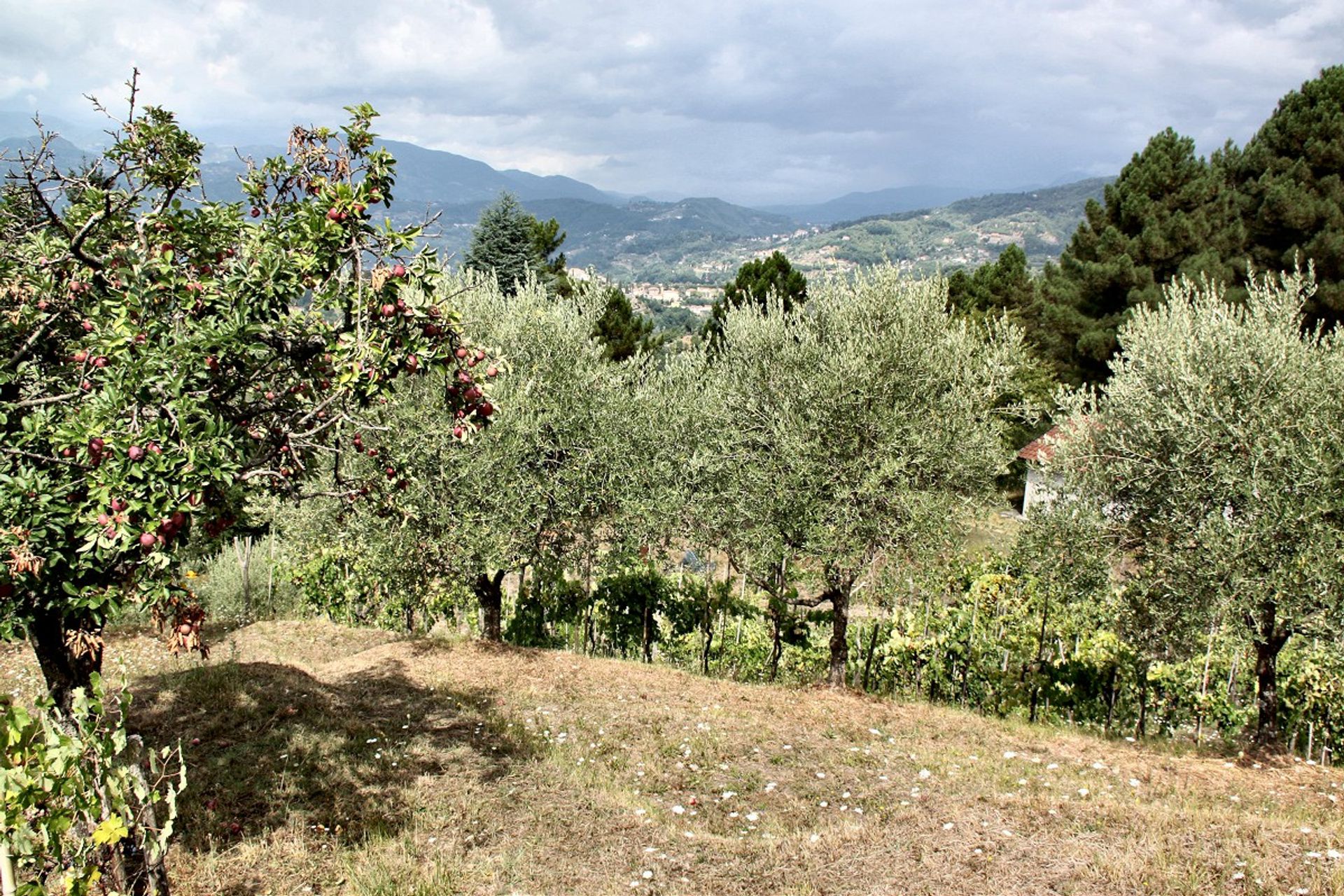 Hus i Barga, Tuscany 10094989