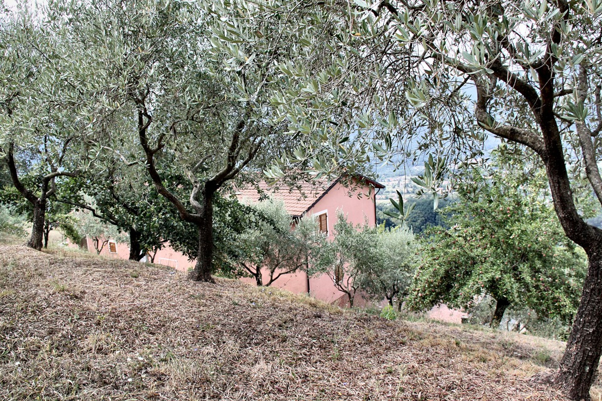 Hus i Barga, Tuscany 10094989