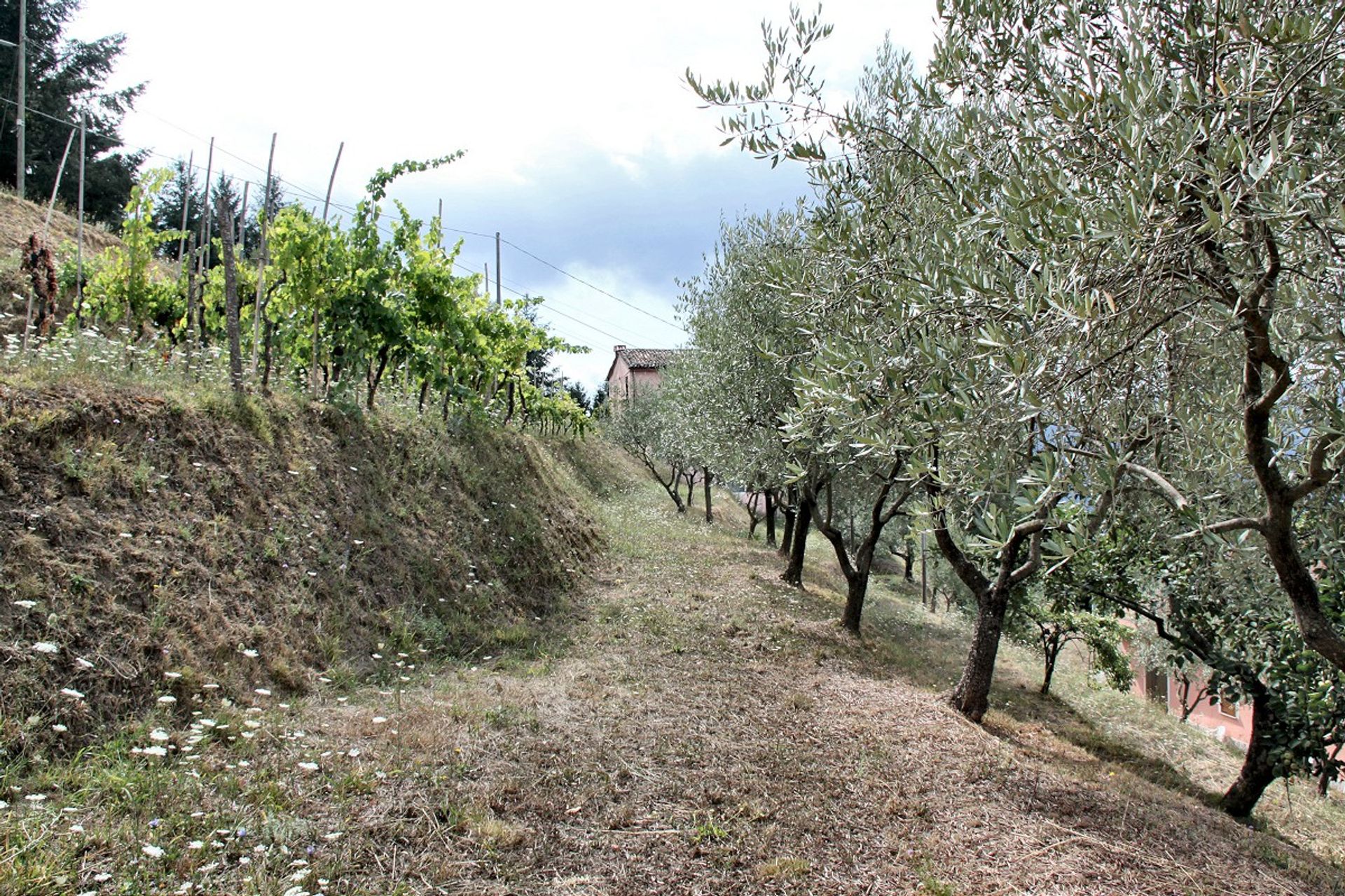 Hus i Barga, Tuscany 10094989