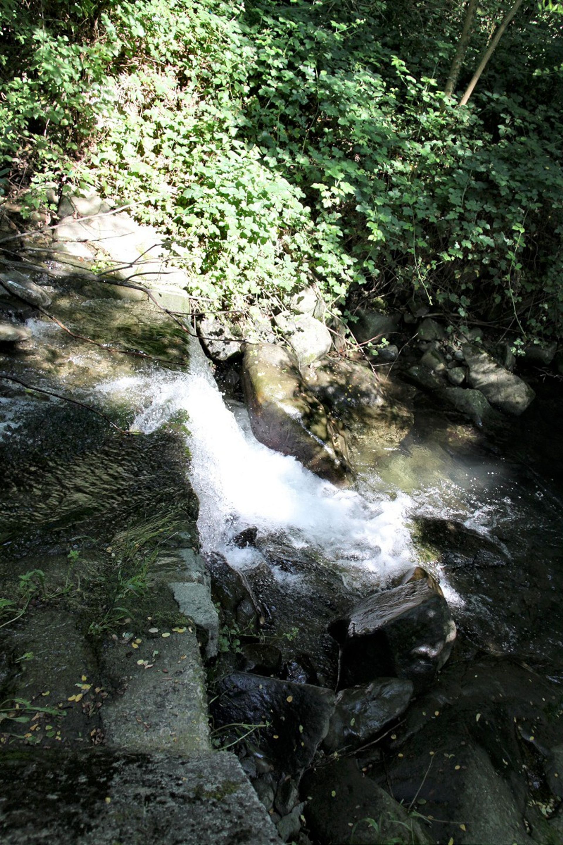 آخر في San Romano In Garfagnana, Tuscany 10095029