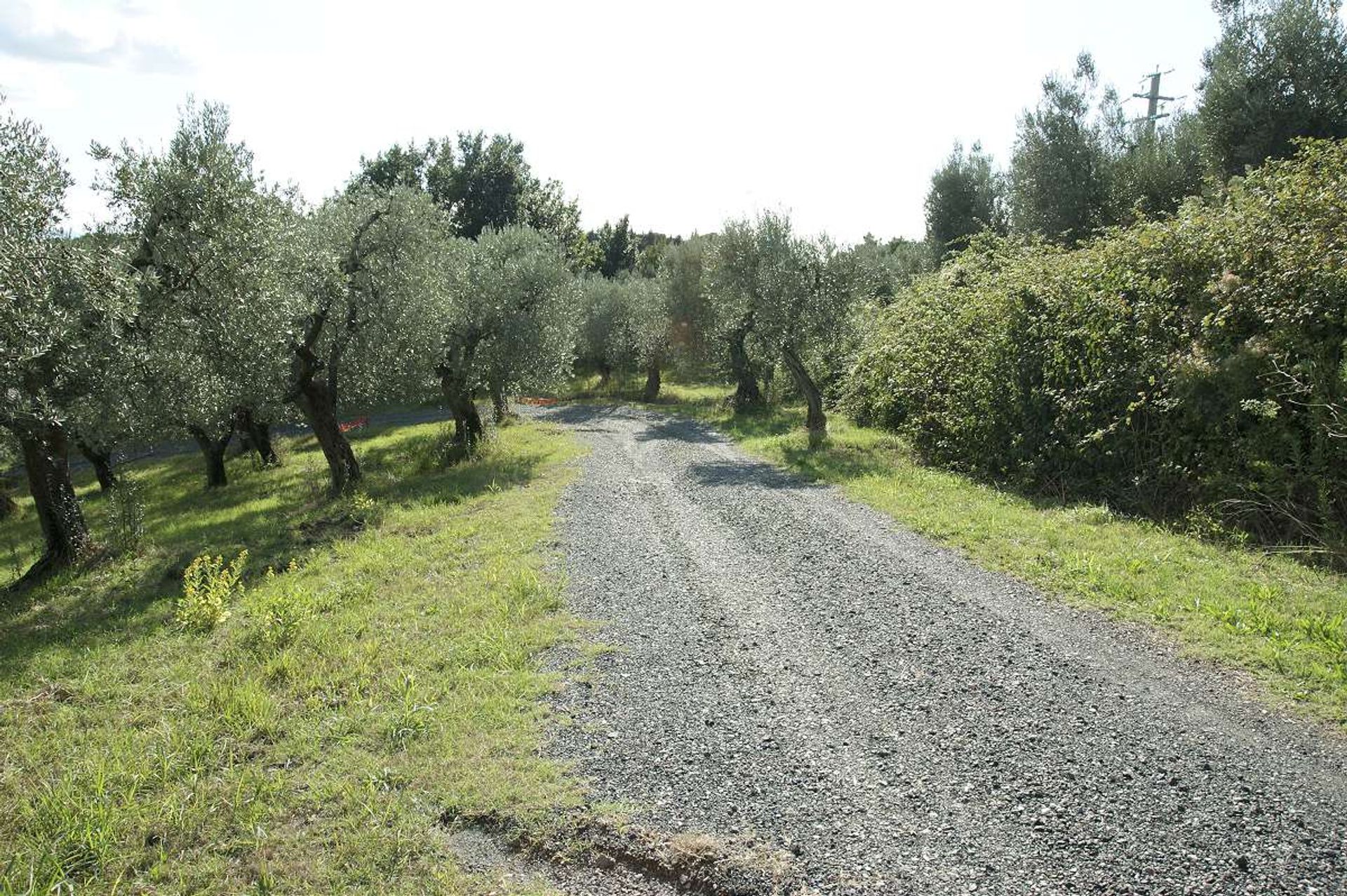 Casa nel Riparbella, Tuscany 10095062