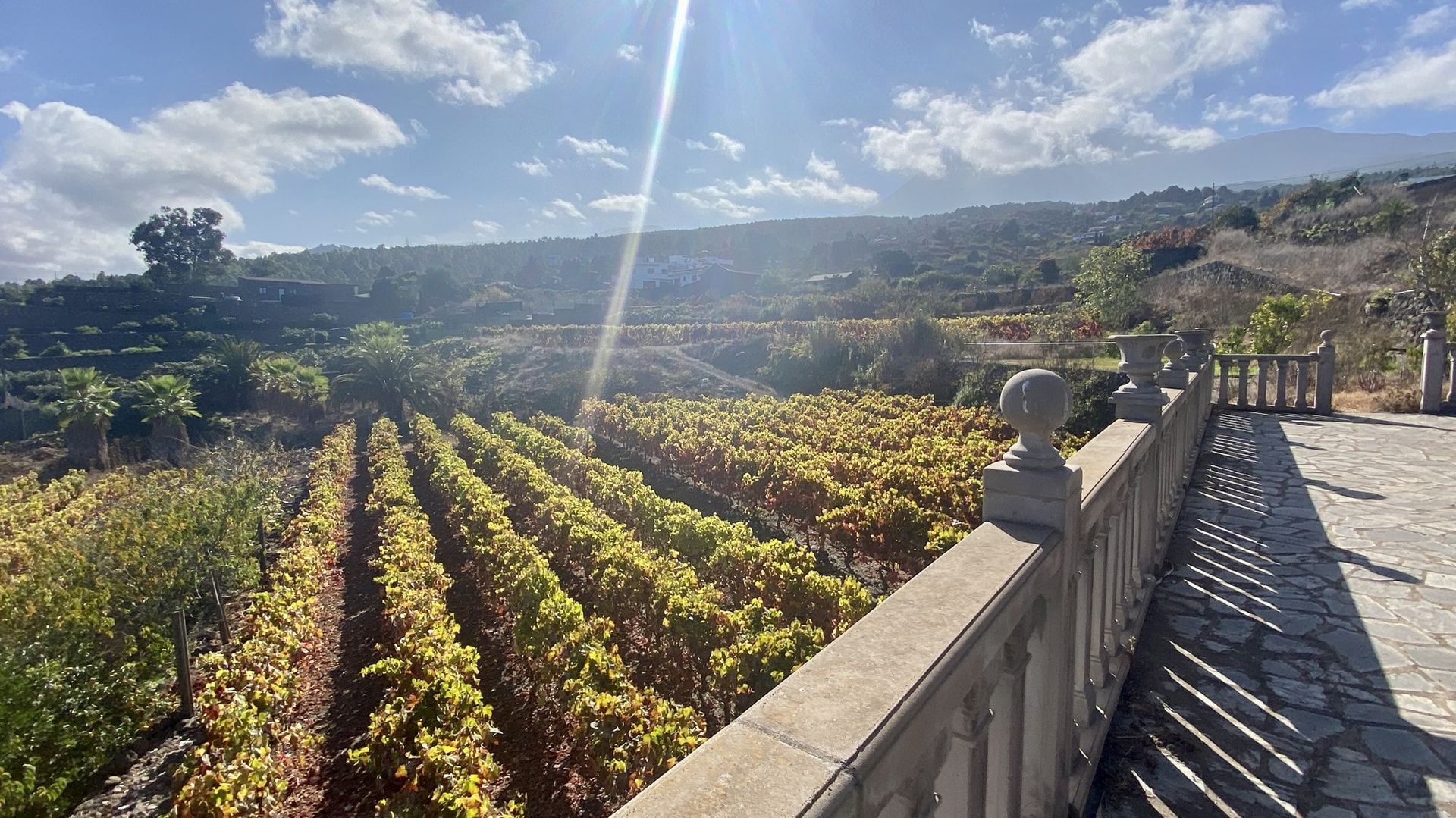 Dom w Icod de Los Vinos, Tenerife 10095081