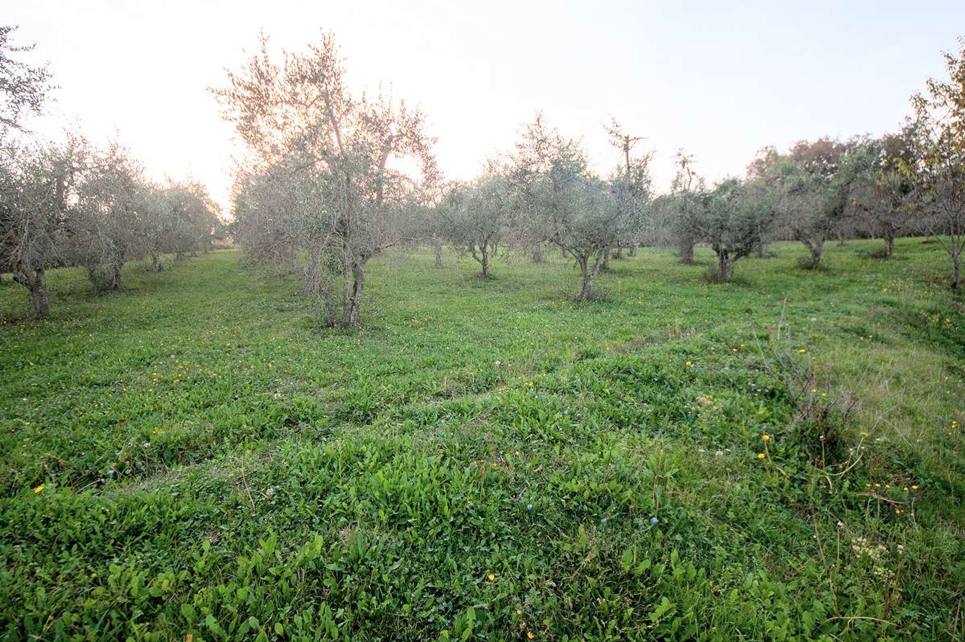 casa no Rivalto, Tuscany 10095088