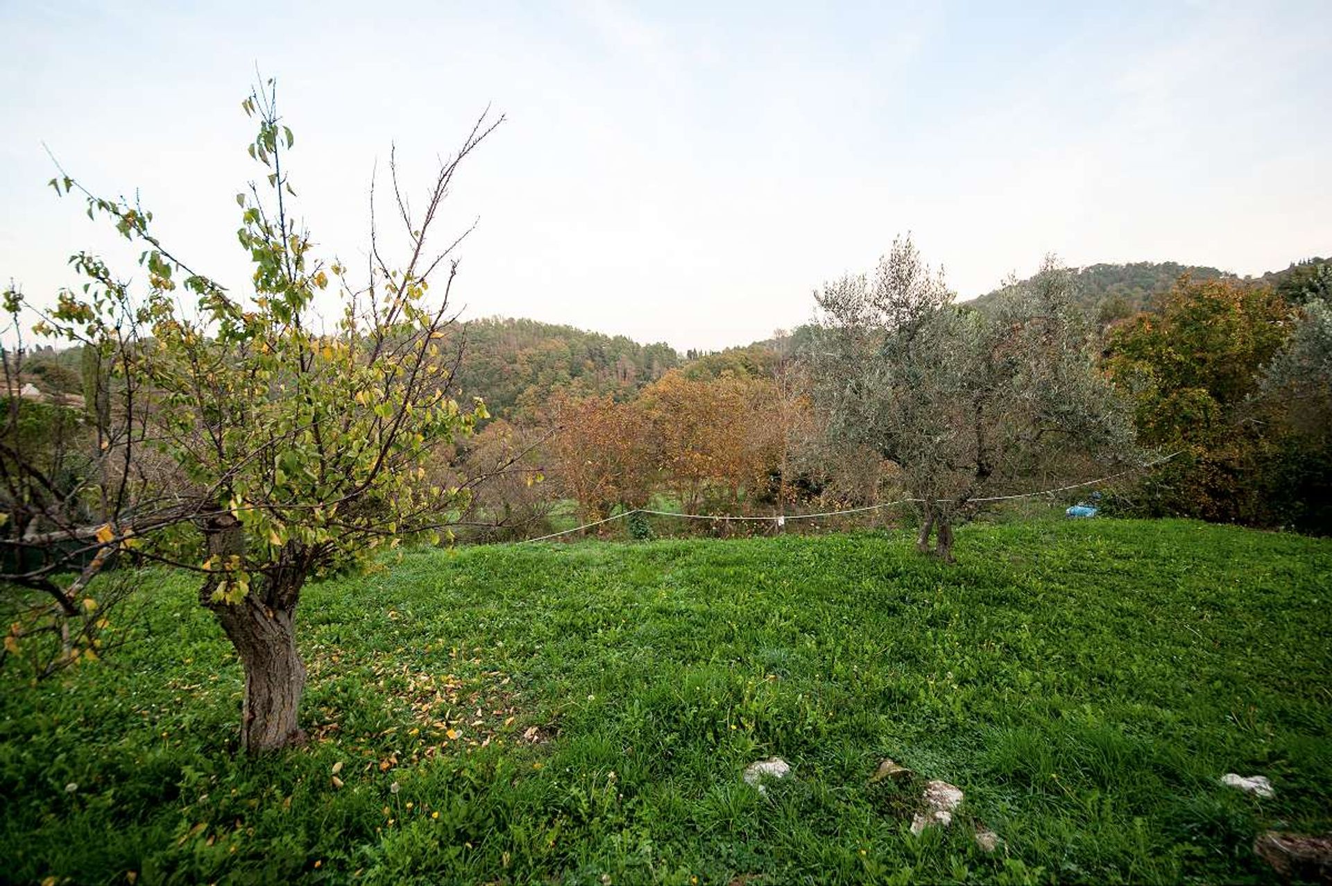 casa no Rivalto, Tuscany 10095088