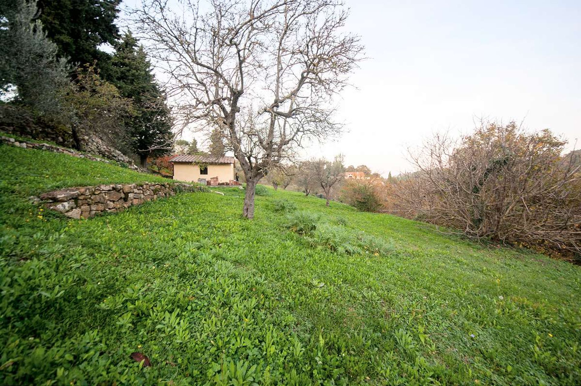 casa no Rivalto, Tuscany 10095088