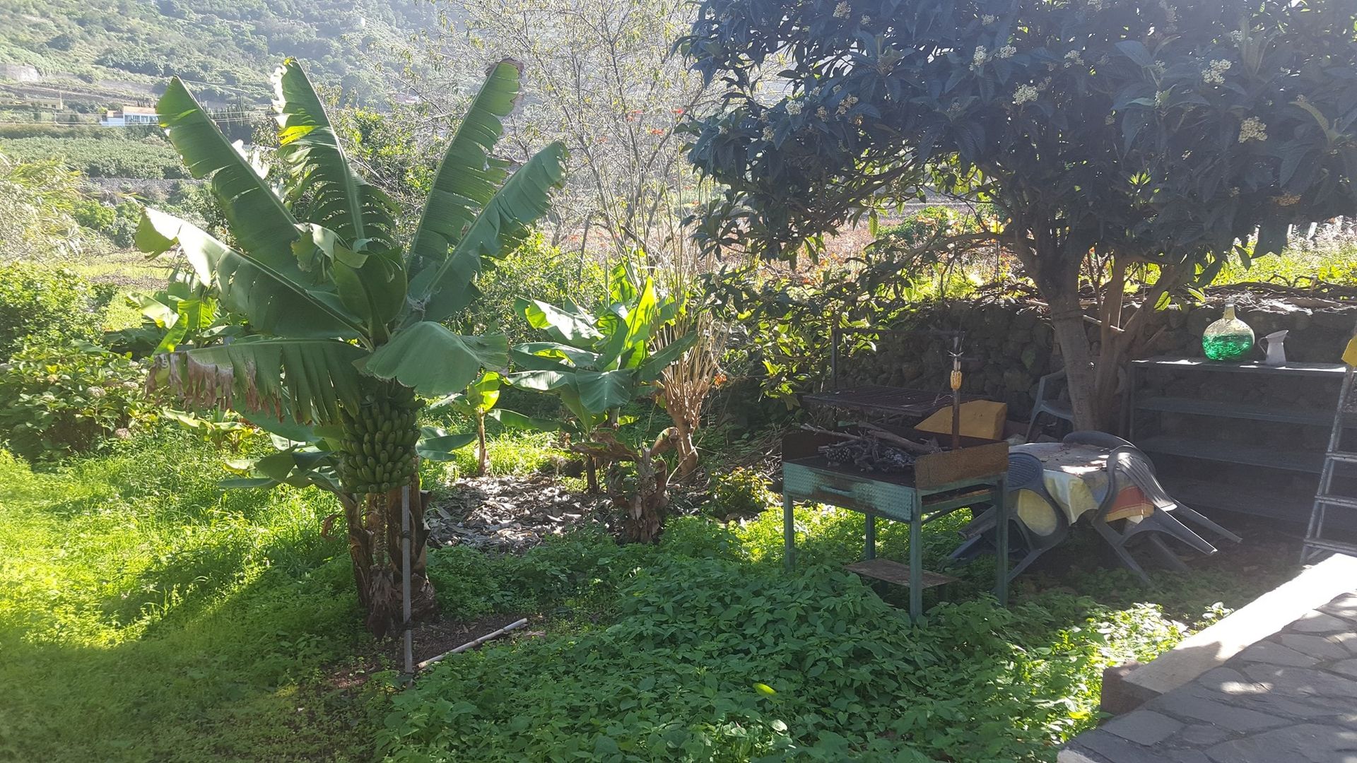 loger dans El Durazno, les îles Canaries 10095091