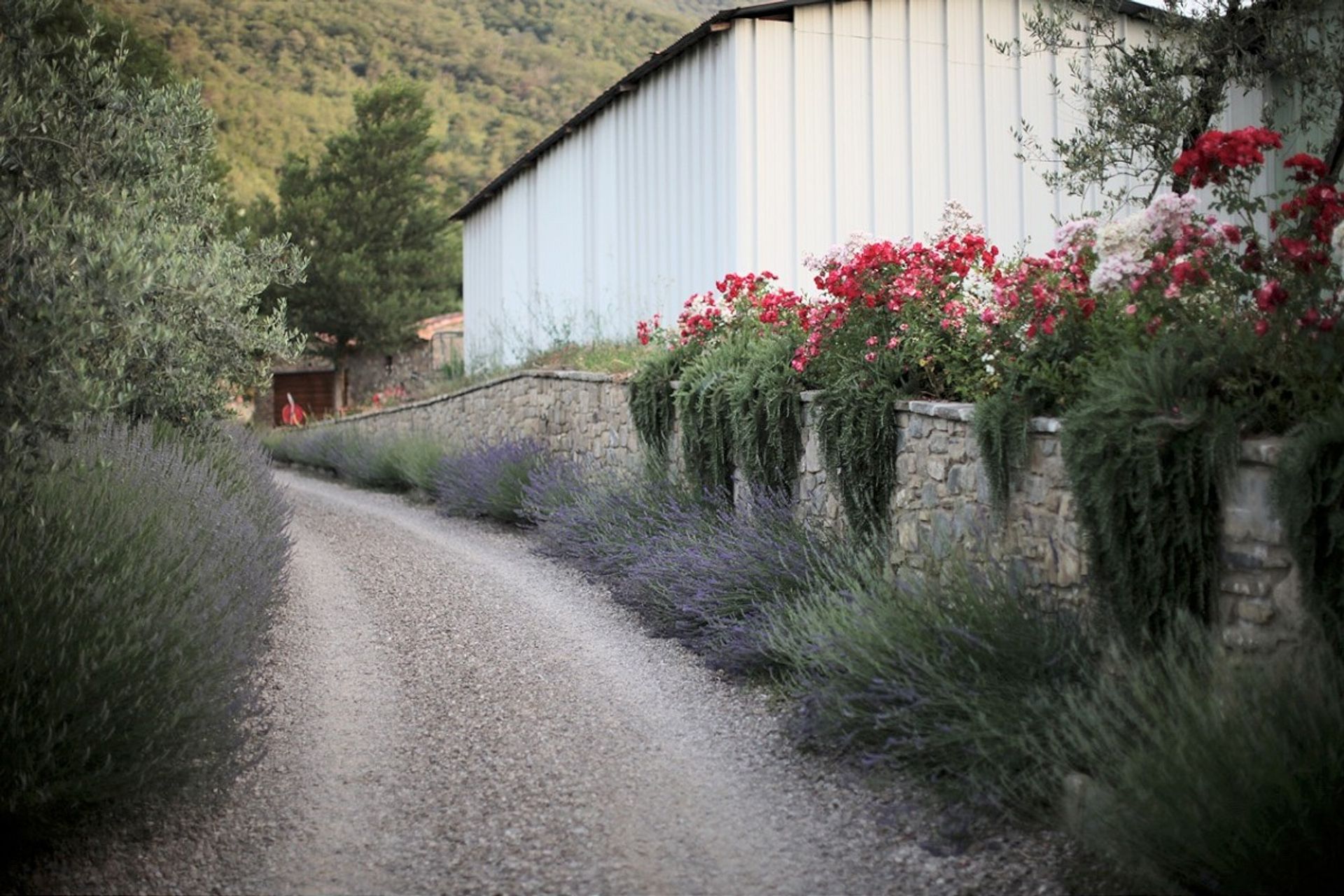 Rumah di Castiglion Fiorentino, Tuscany 10095098