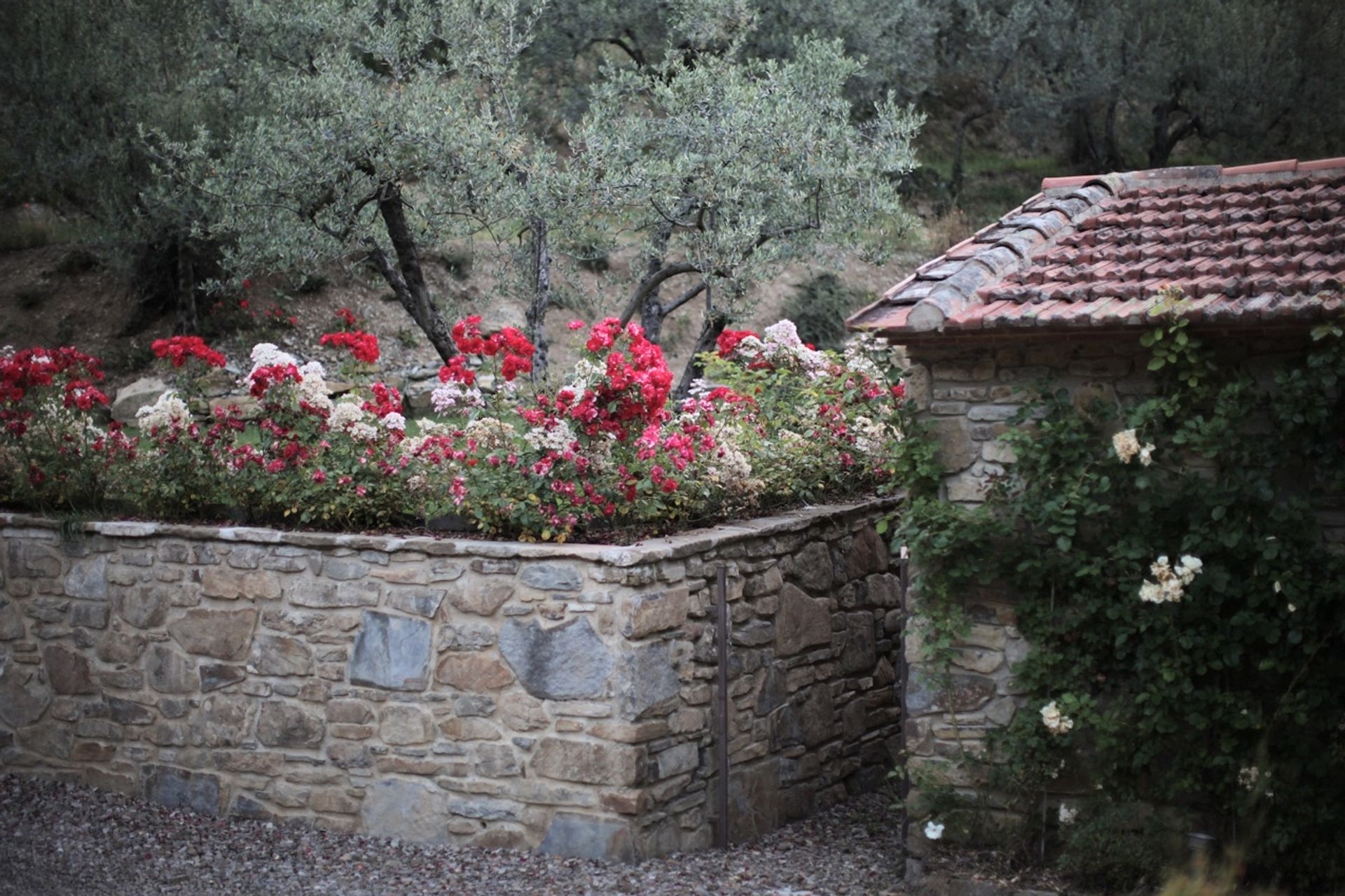 casa en Castiglion Fiorentino, Tuscany 10095098