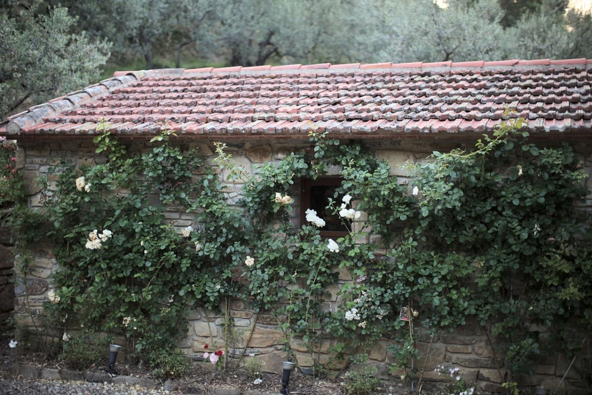 casa en Castiglion Fiorentino, Tuscany 10095098