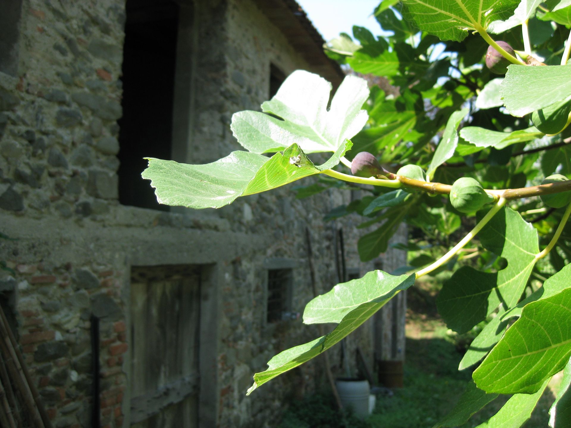 Rumah di Borgo A Mozzano, Tuscany 10095160