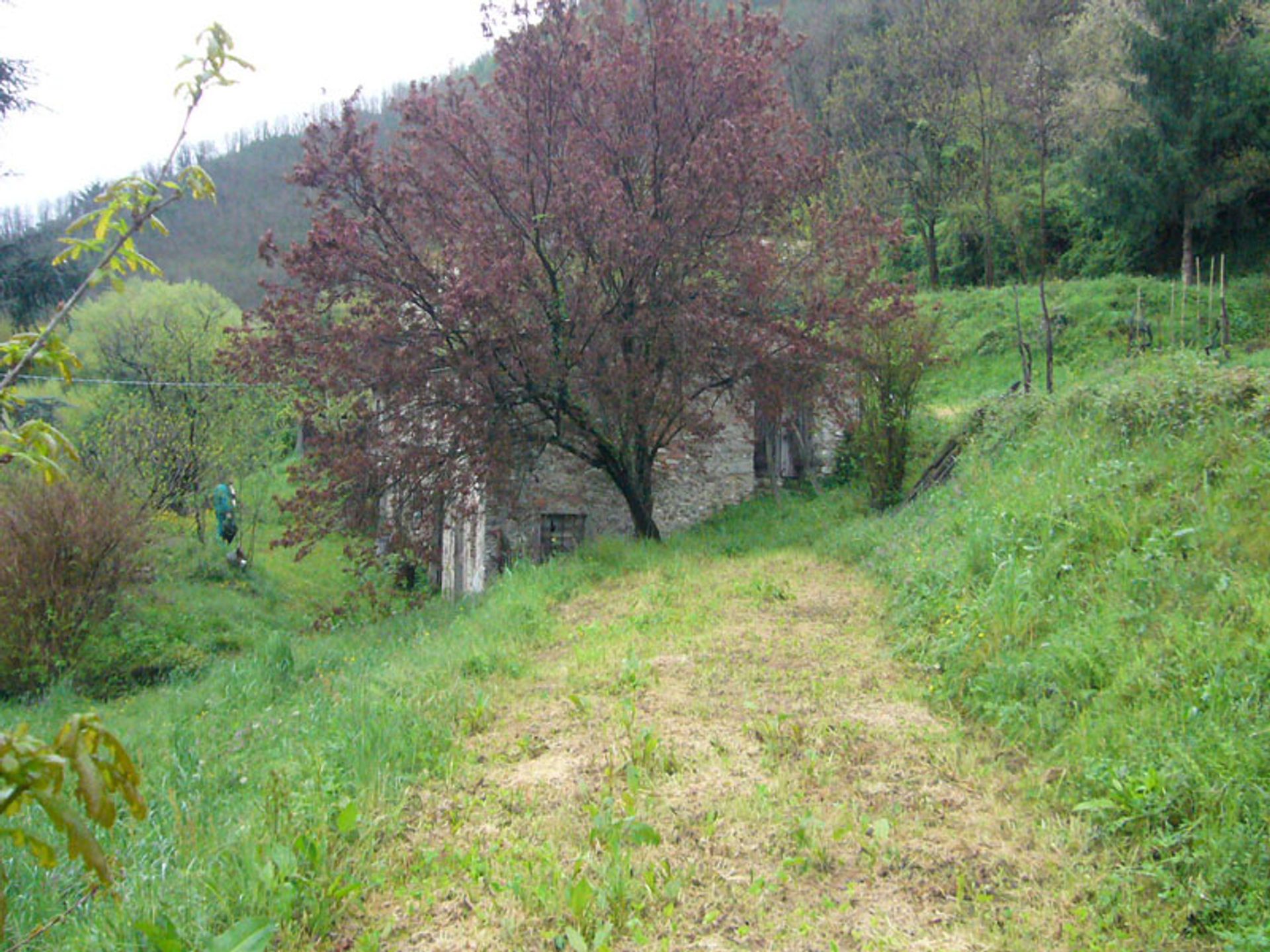 Rumah di Borgo A Mozzano, Tuscany 10095160