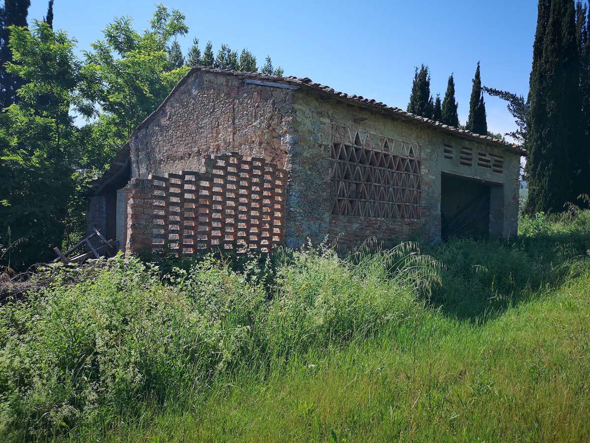 Αλλα σε San Gimignano, Tuscany 10095175