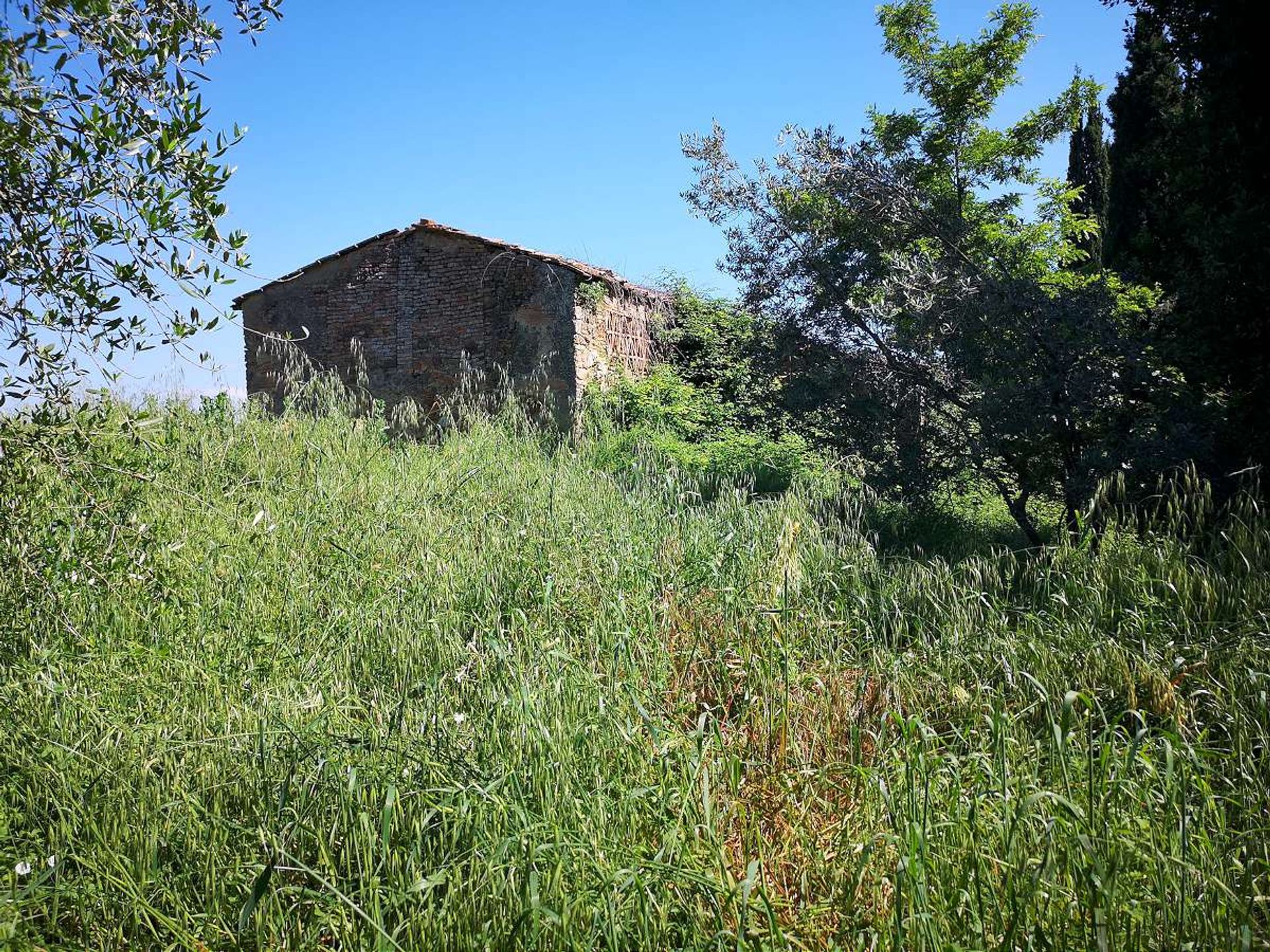 Muu sisään San Gimignano, Tuscany 10095175