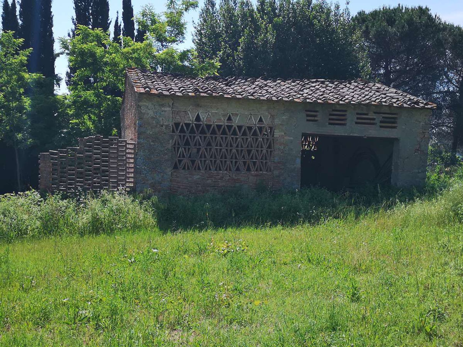 Інший в San Gimignano, Tuscany 10095175