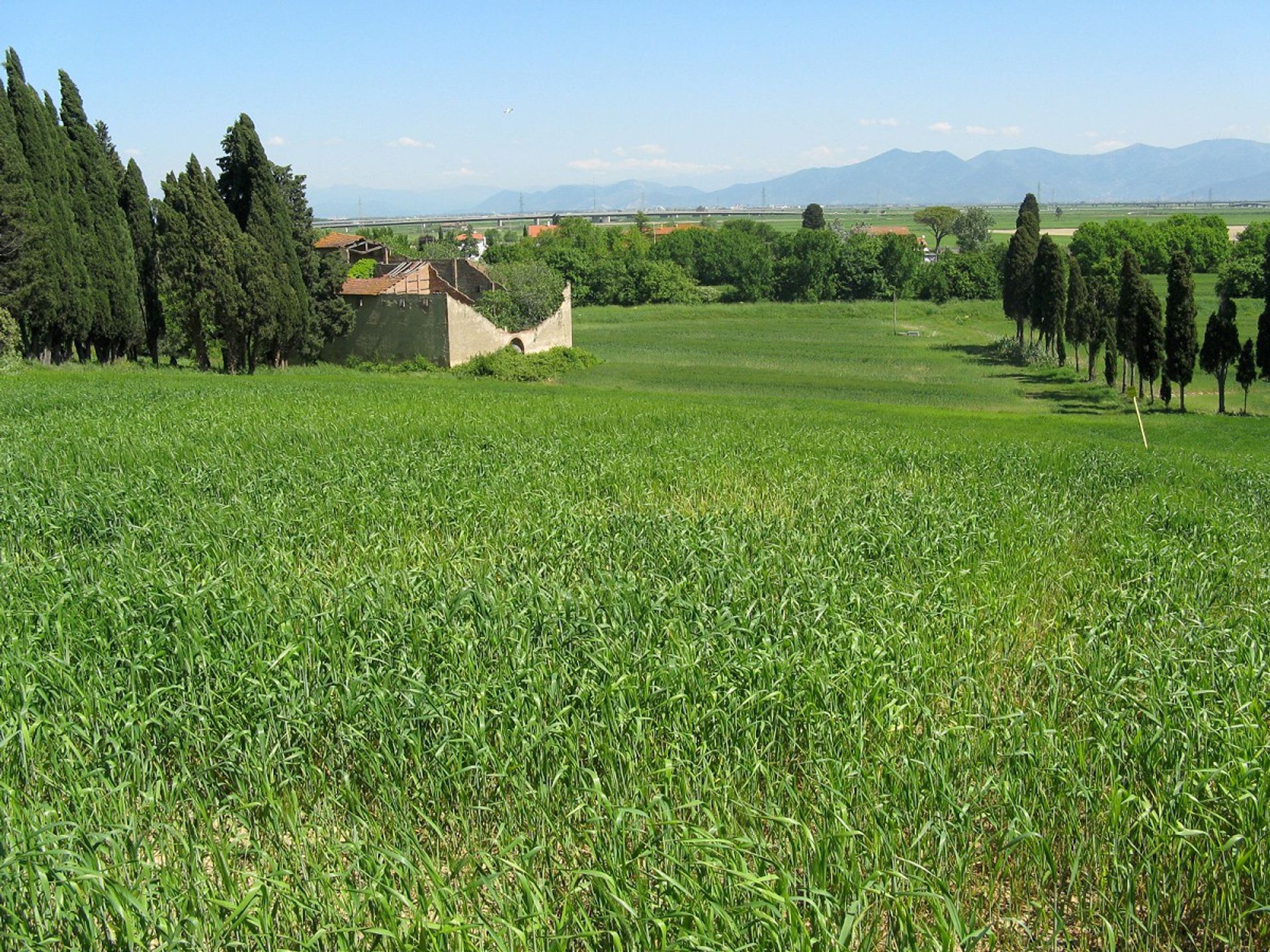 жилой дом в Livorno, Tuscany 10095191