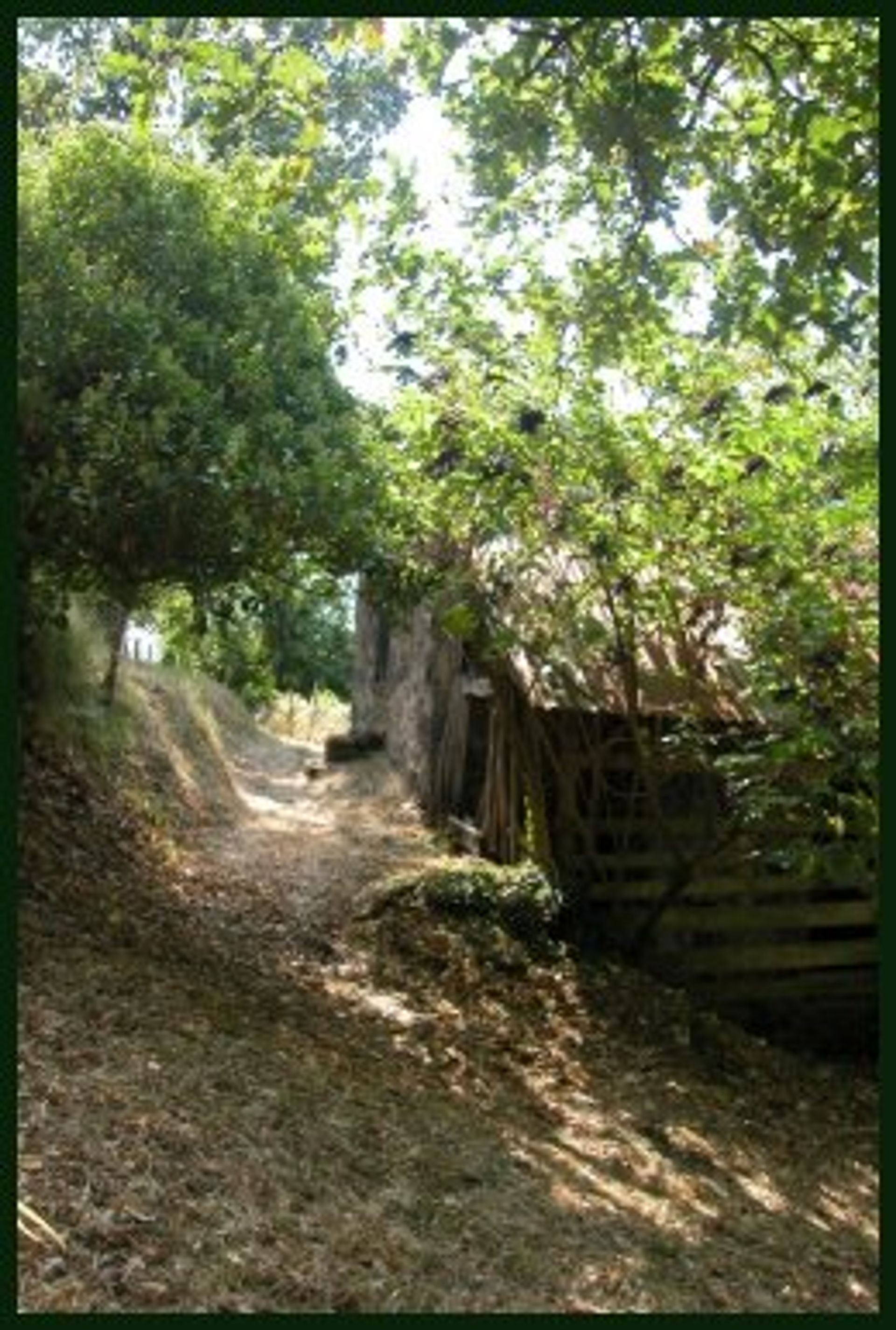 Muu sisään Gromignana, Tuscany 10095196