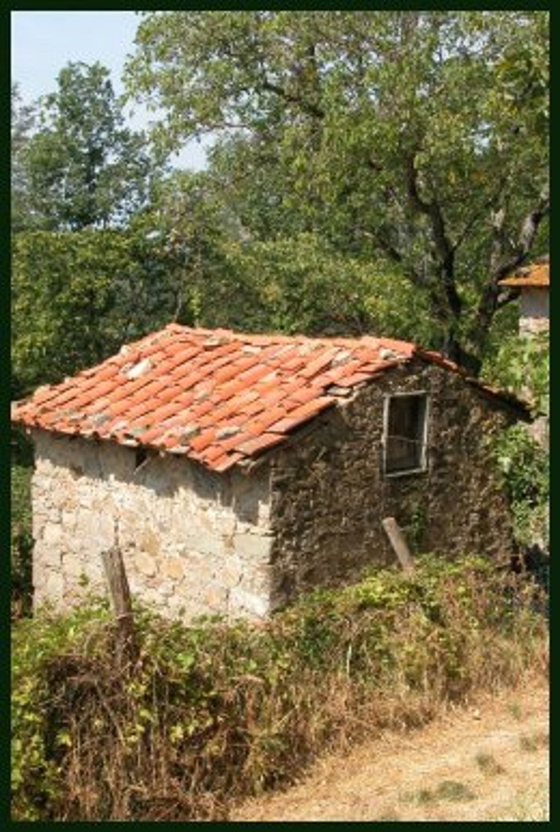 Autre dans Coreglia Antelminelli, Toscane 10095196