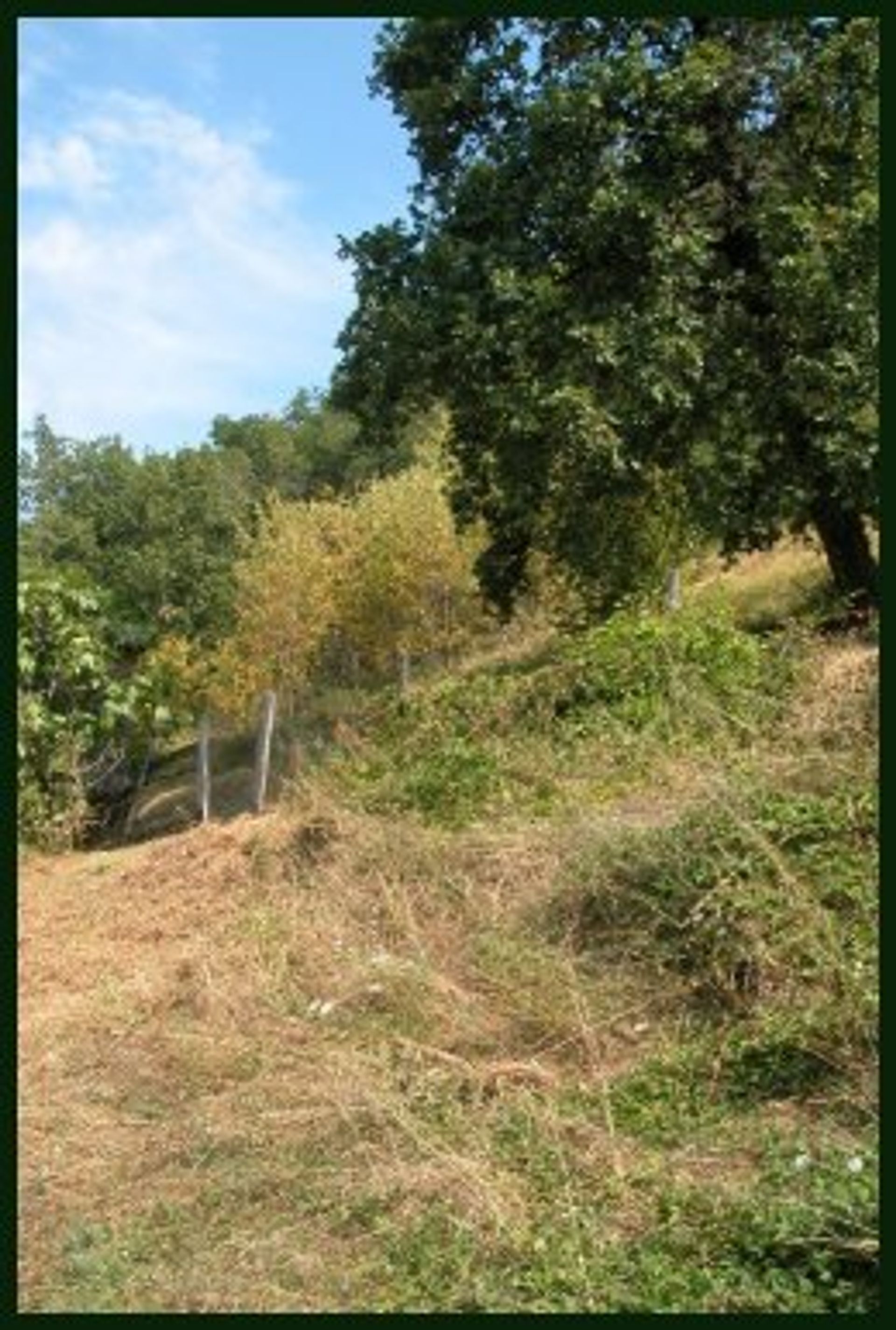 Muu sisään Gromignana, Tuscany 10095196