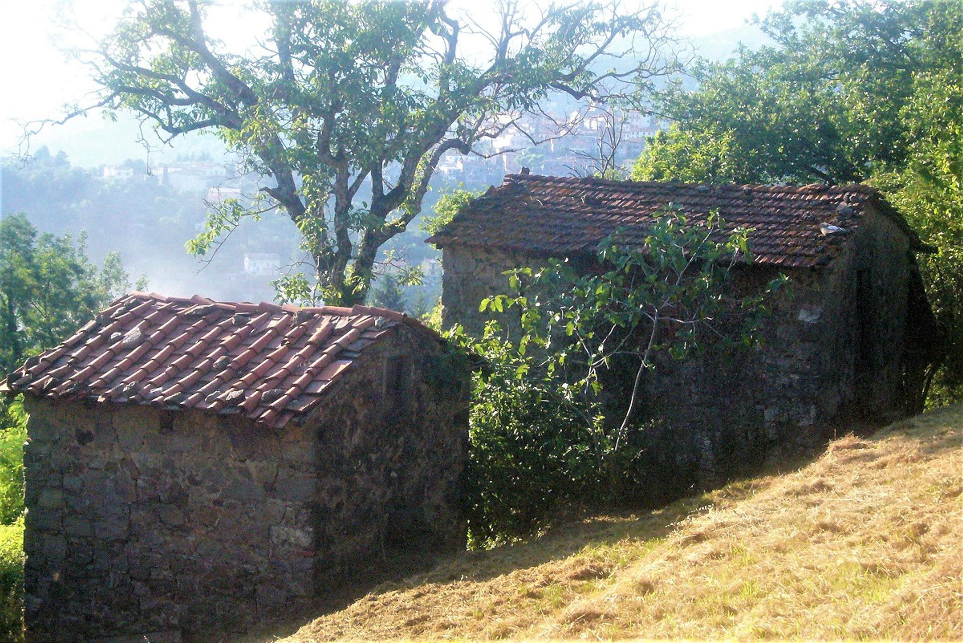 Autre dans Coreglia Antelminelli, Tuscany 10095196