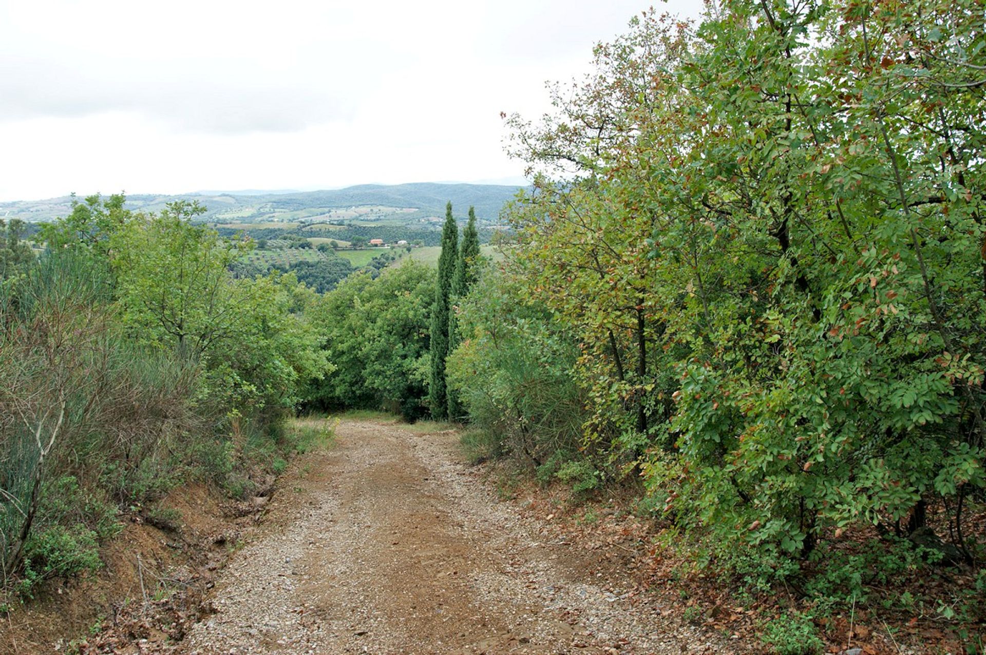 Αλλα σε Scansano, Tuscany 10095211