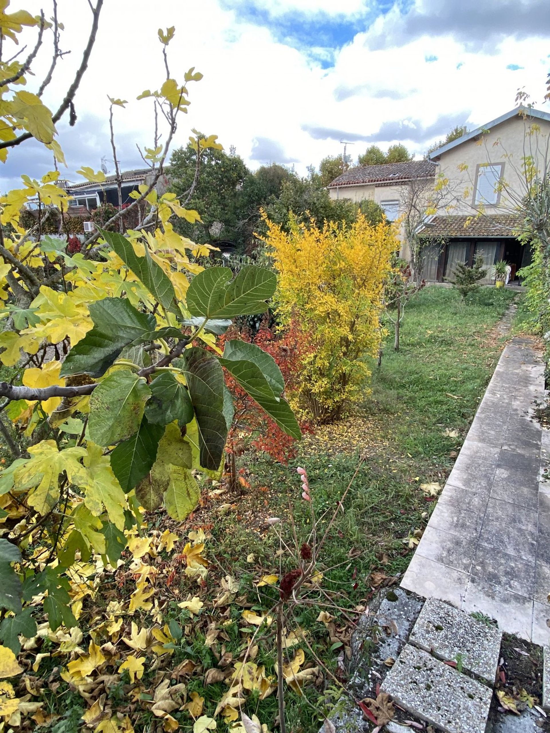 rumah dalam Cepie, Languedoc-Roussillon 10096849