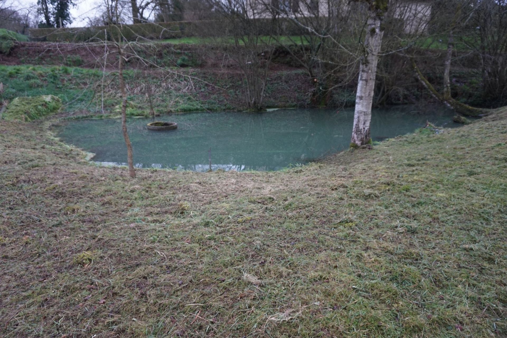 Maa sisään Ambrieres-les-Vallees, Pays de la Loire 10097037