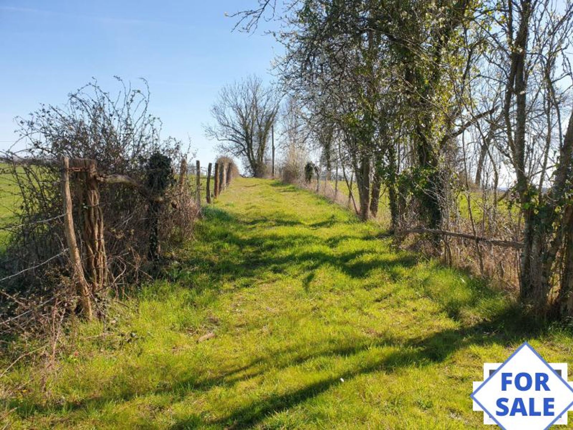 بيت في Mortagne-au-Perche, Basse-Normandie 10097171