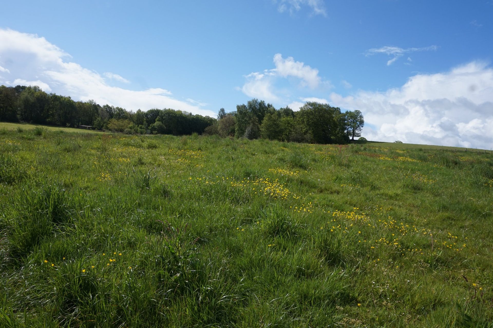 بيت في Fougerolles-du-Plessis, Pays de la Loire 10097706