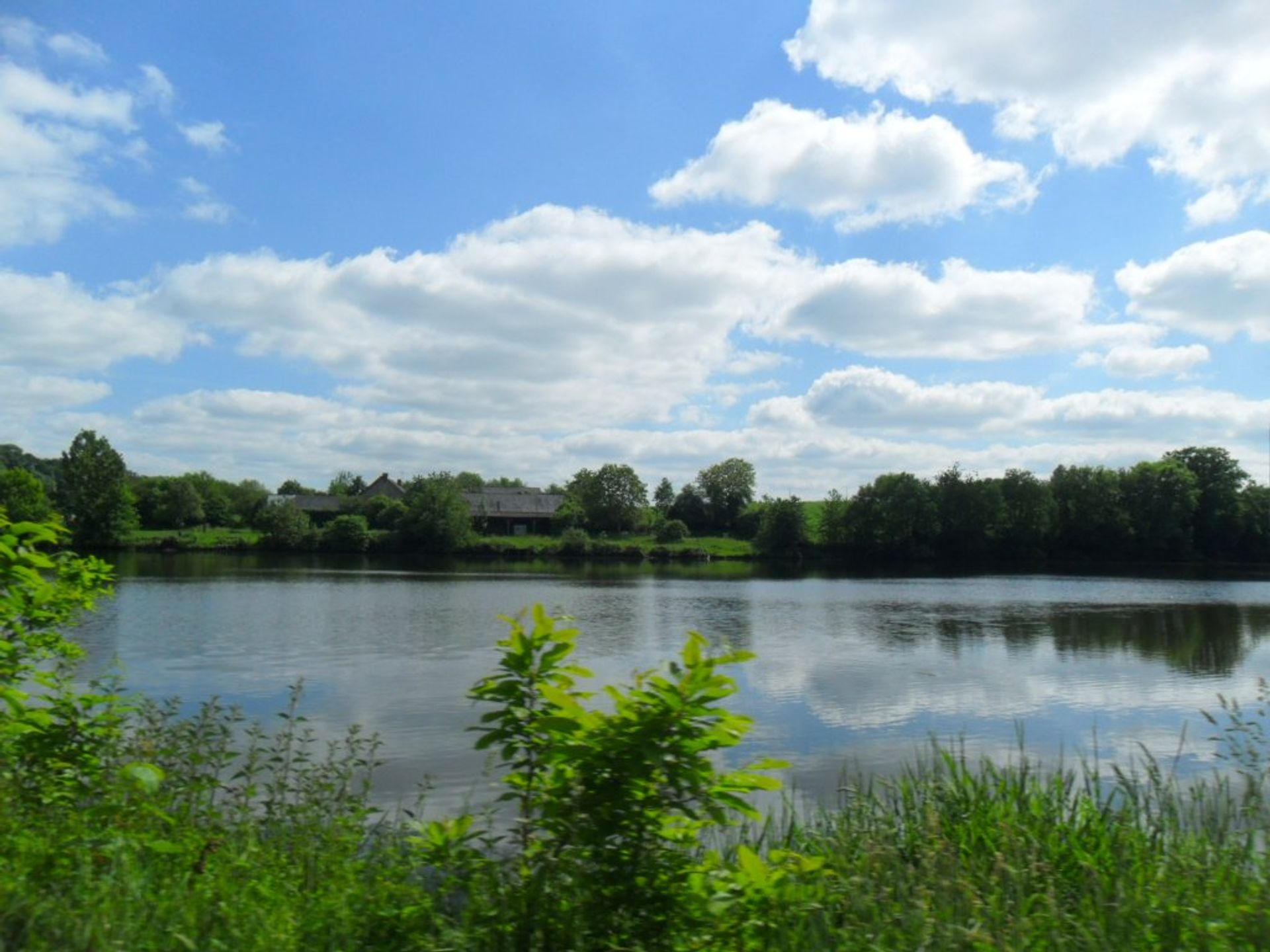 Tanah di Ambrieres-les-Vallees, Pays-de-la-Loire 10097803