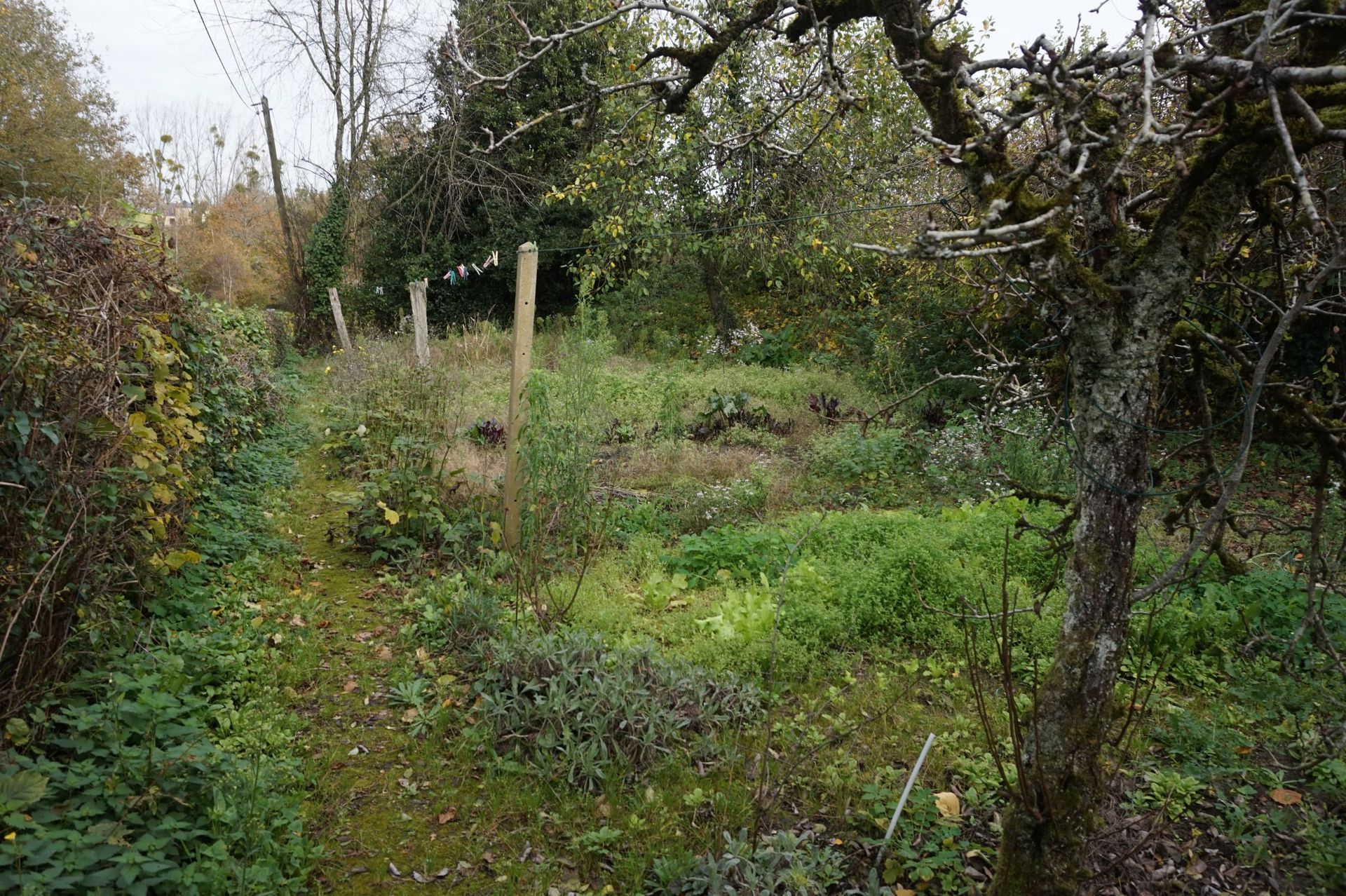 Hus i Ambrières-les-Vallees, Pays de la Loire 10097898