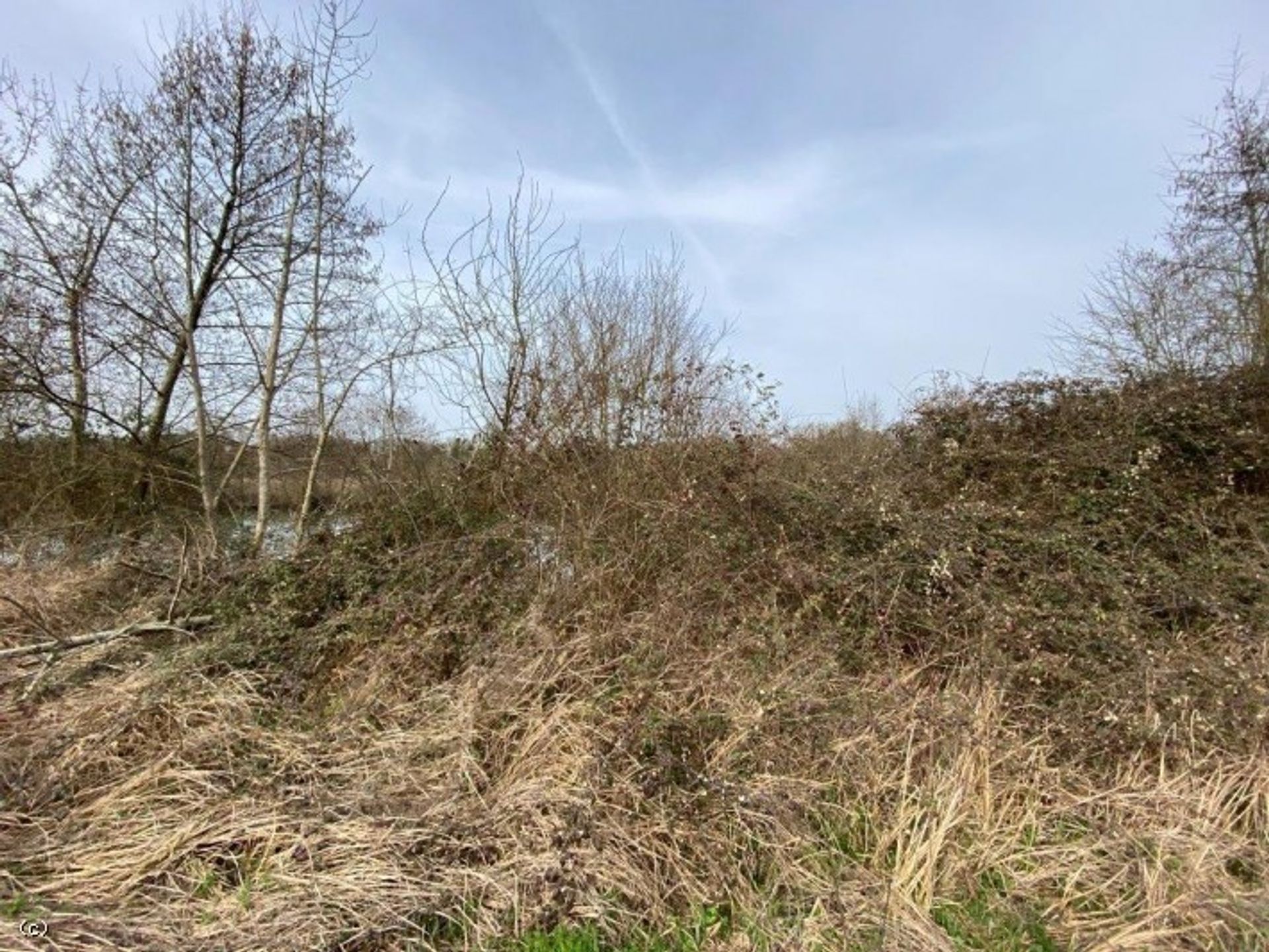 Tierra en Verteuil-sur-Charente, Nouvelle-Aquitaine 10098040