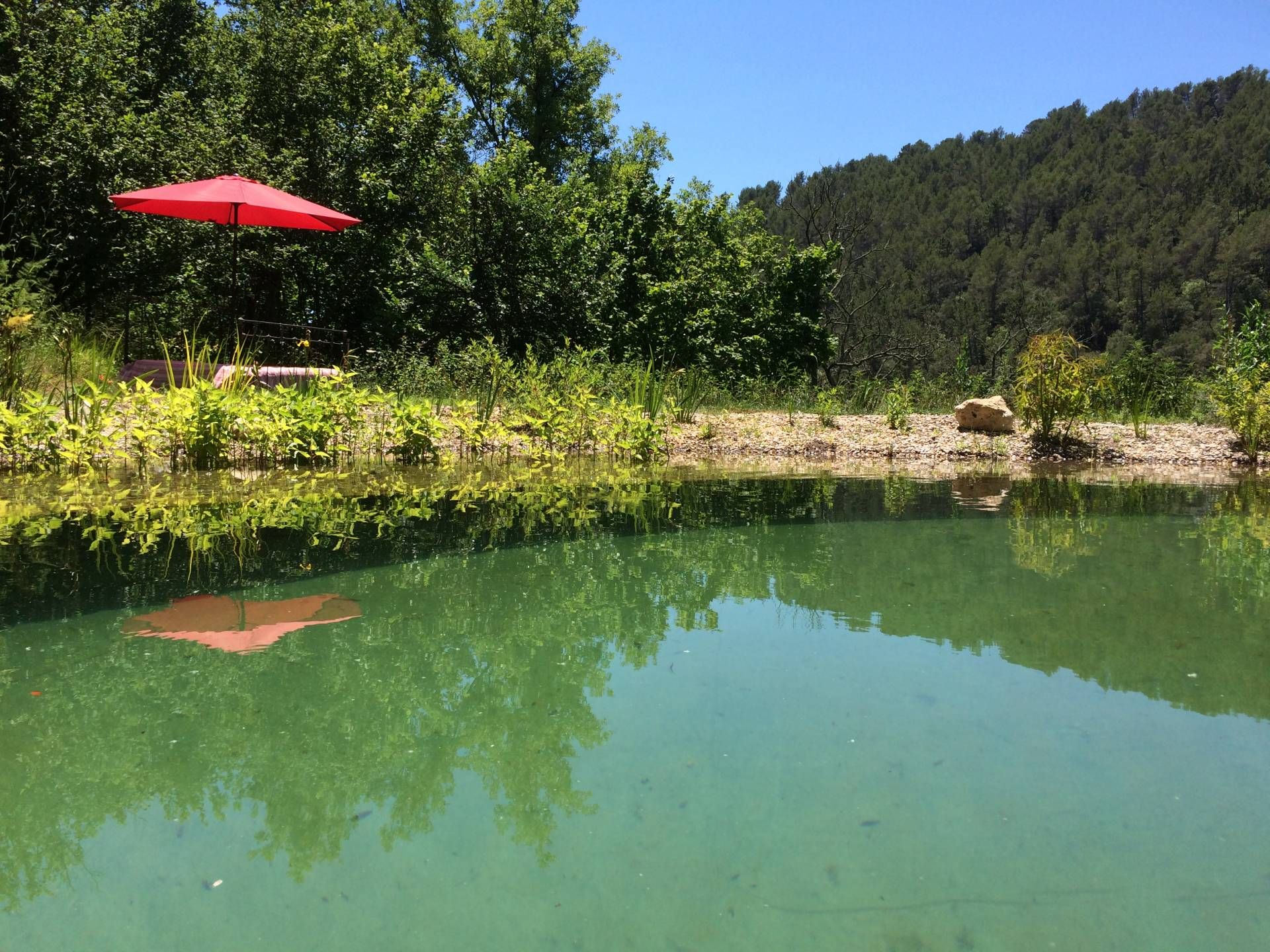 casa en Callas, Provence-Alpes-Cote d'Azur 10098104