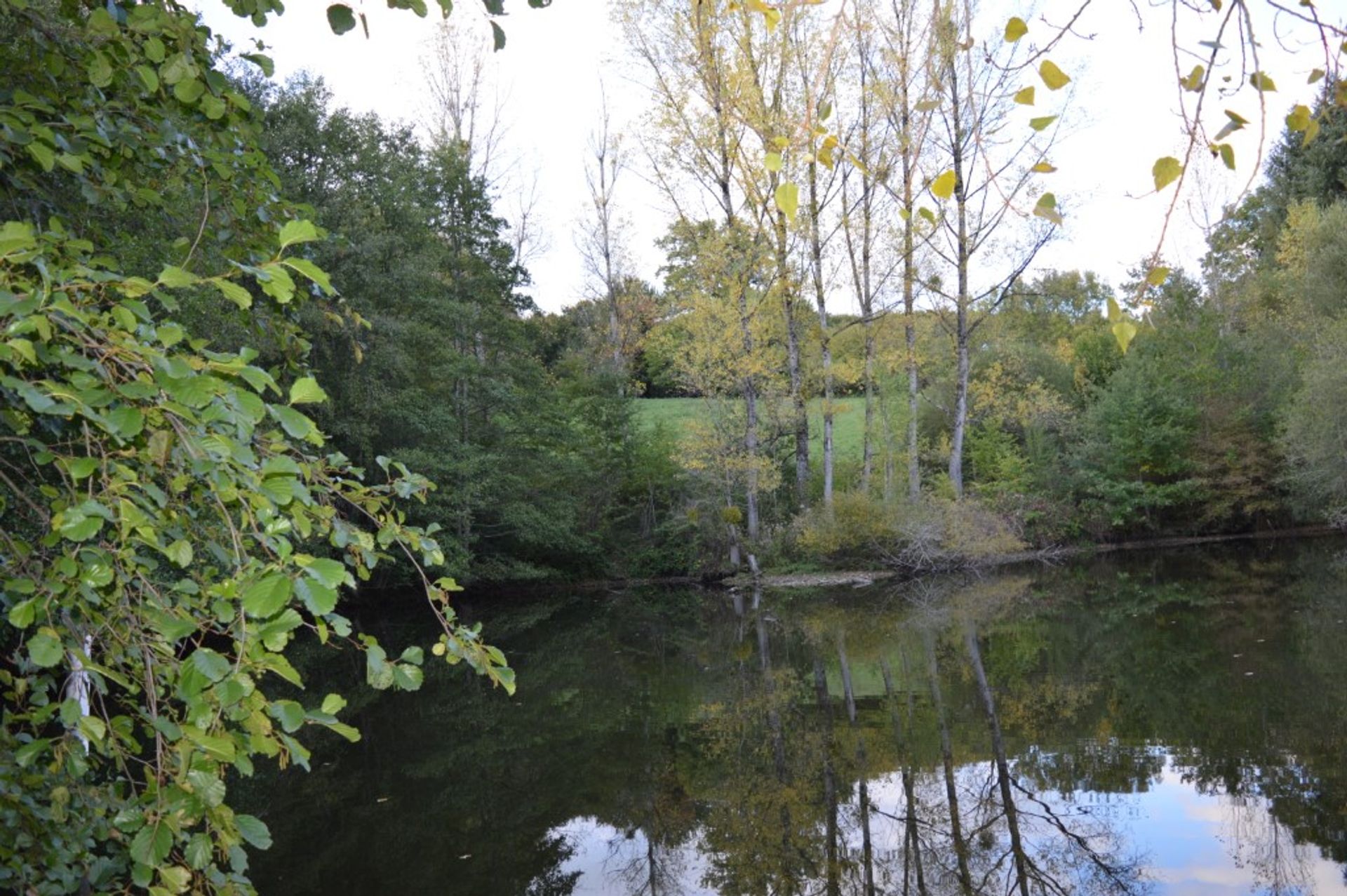 Condominium dans Saint-Vitte-sur-Briance, Nouvelle-Aquitaine 10098218