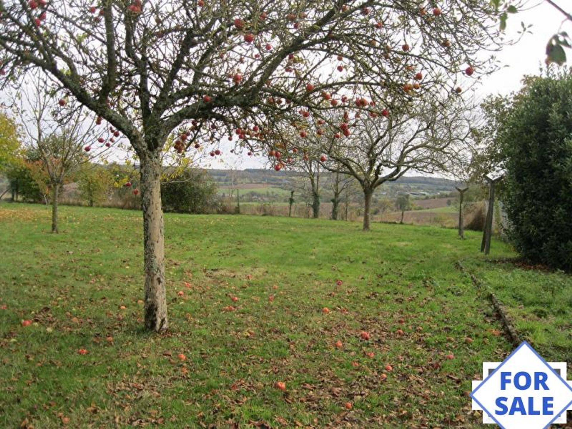 casa en Saint-Cyr-en-Pail, Pays de la Loire 10098226