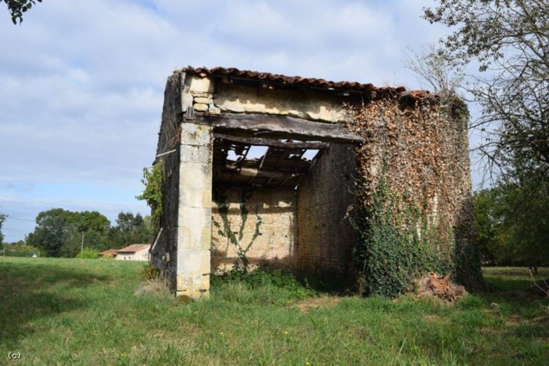 Terra no Tuzie, Nova Aquitânia 10098397