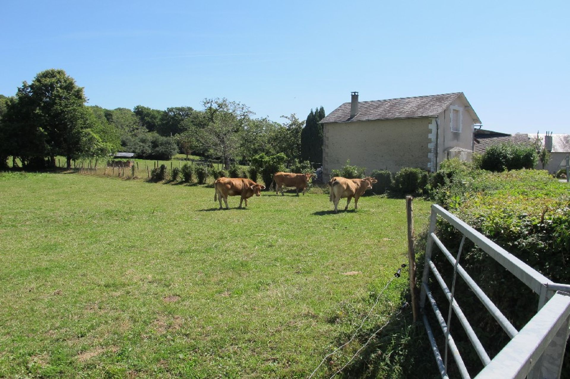 Tanah dalam La Croisille-sur-Briance, Nouvelle-Aquitaine 10098417