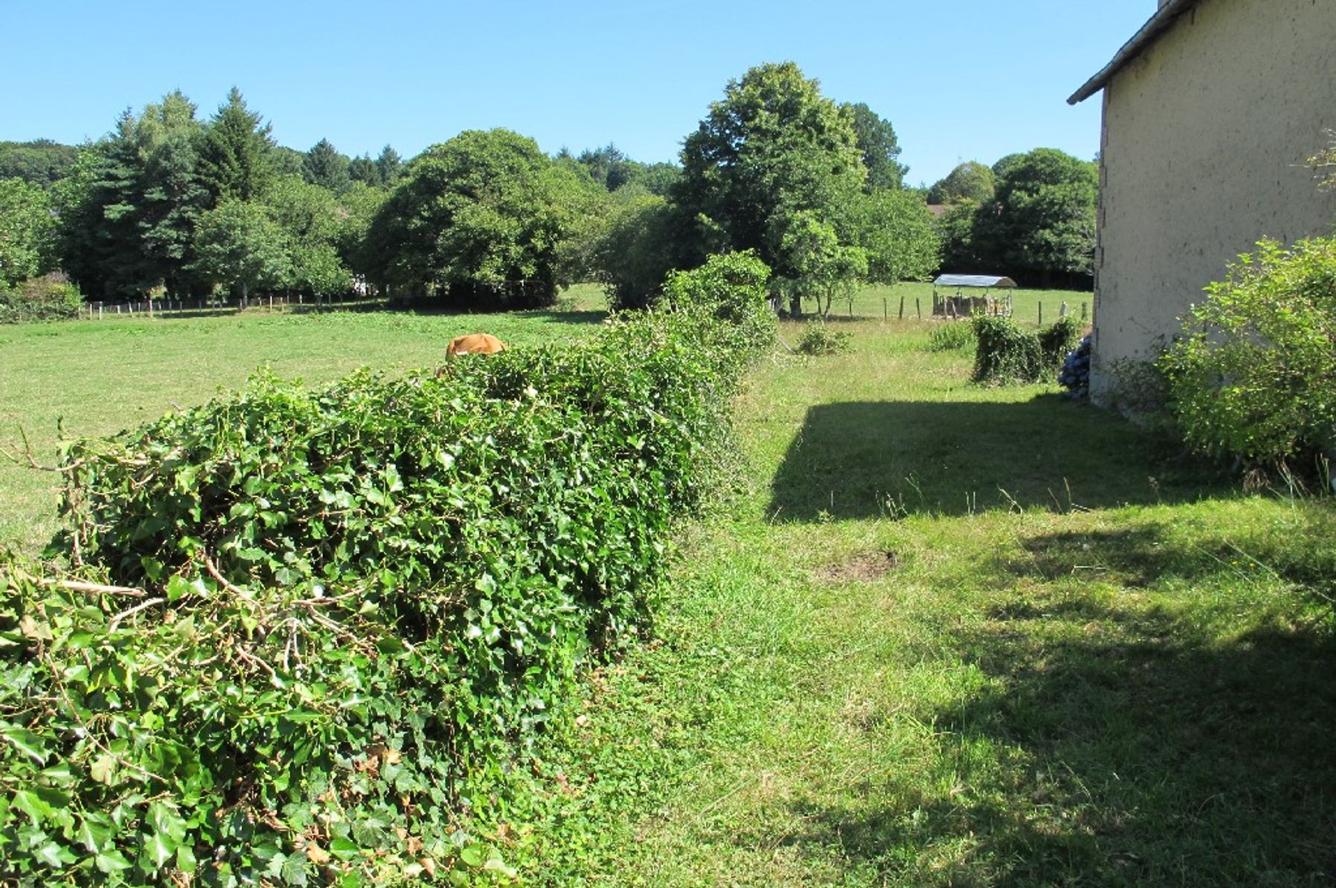 Tanah dalam La Croisille-sur-Briance, Nouvelle-Aquitaine 10098417