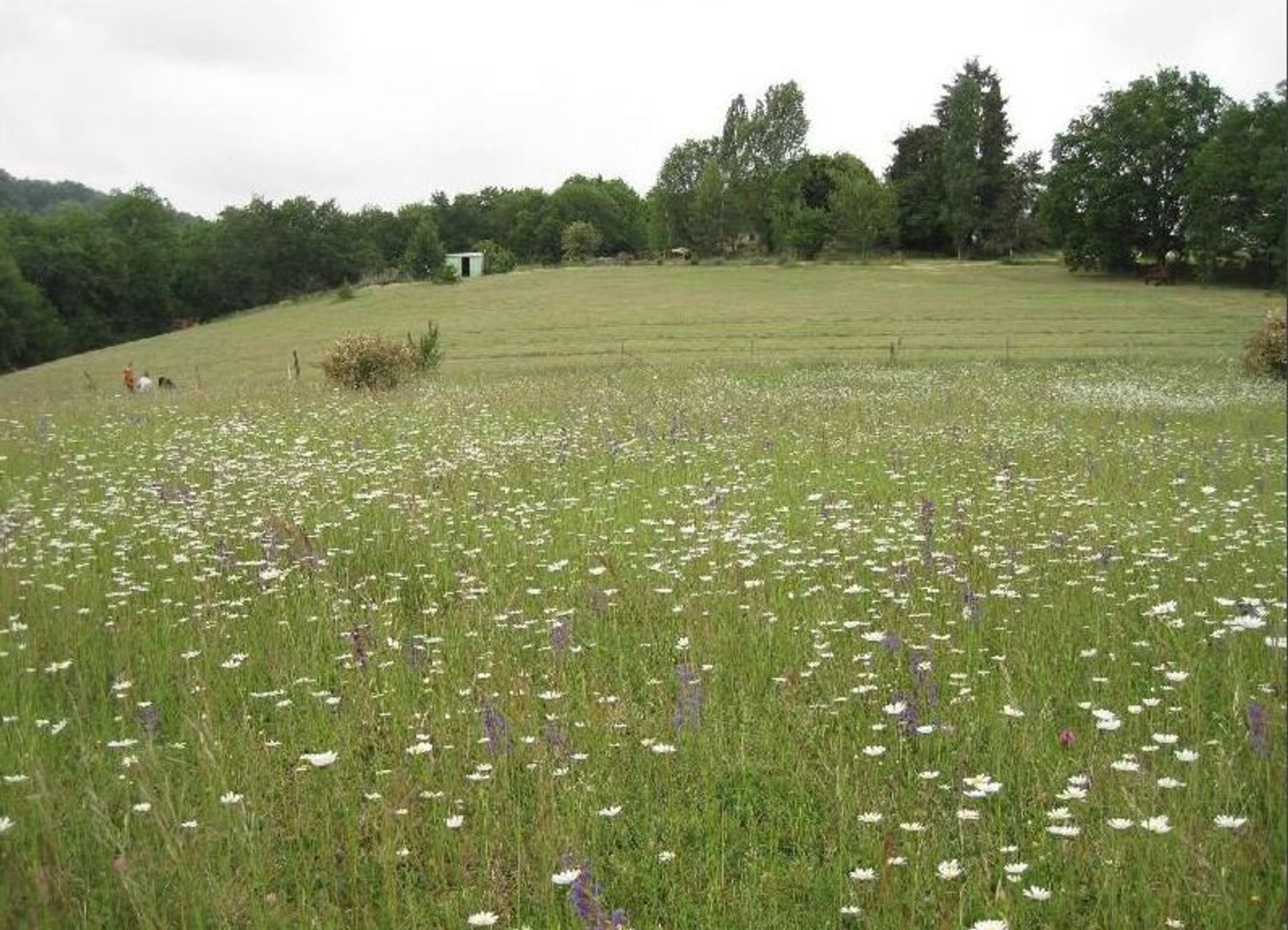 Talo sisään Sainte-Foy-de-Longas, Nouvelle-Aquitaine 10098424