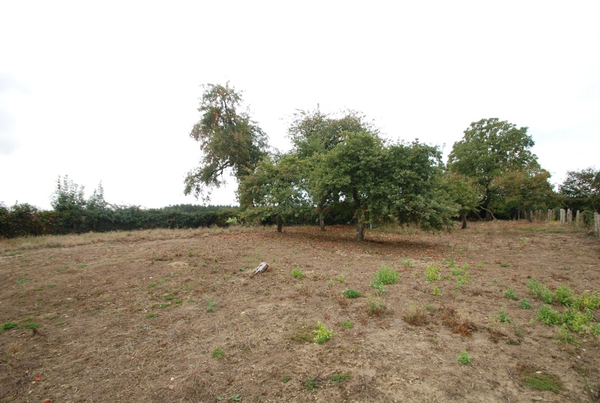 casa en Chevaigne-du-Maine, Pays-de-la-Loire 10098473