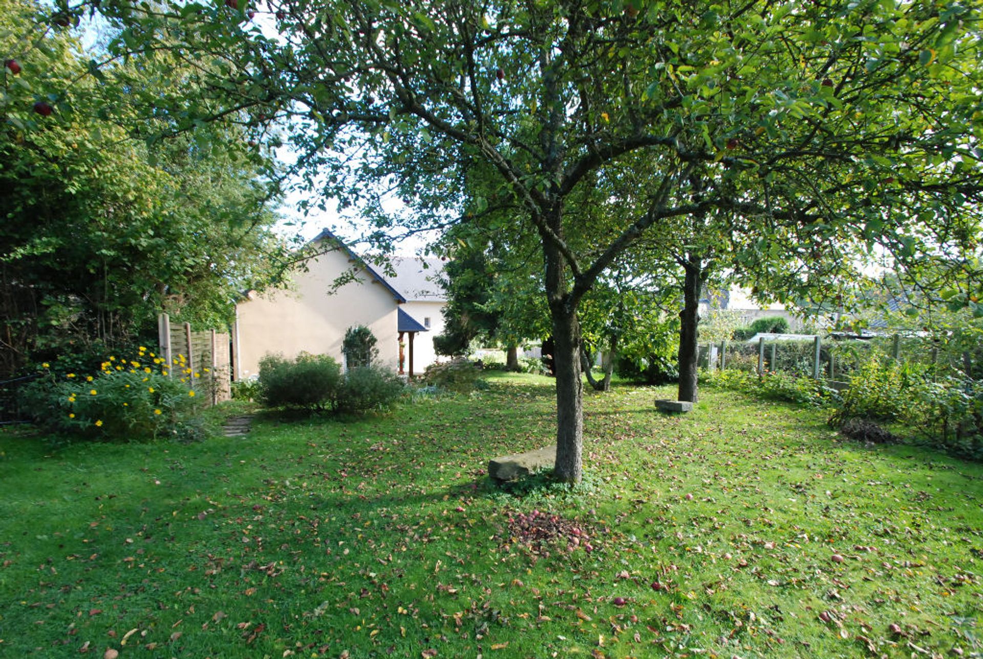 rumah dalam Sainte-Marie-du-Bois, Pays-de-la-Loire 10098650