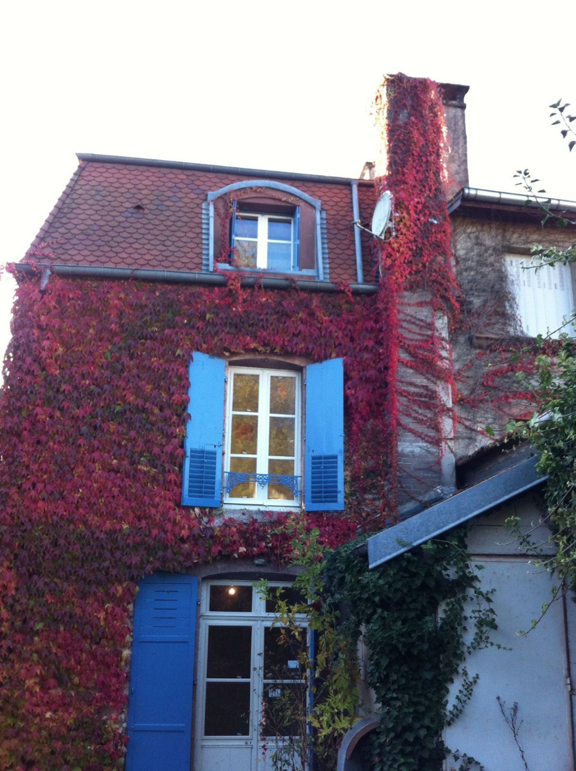 Andere im Luxeuil-les-Bains, Burgund-Franche-Comté 10099165