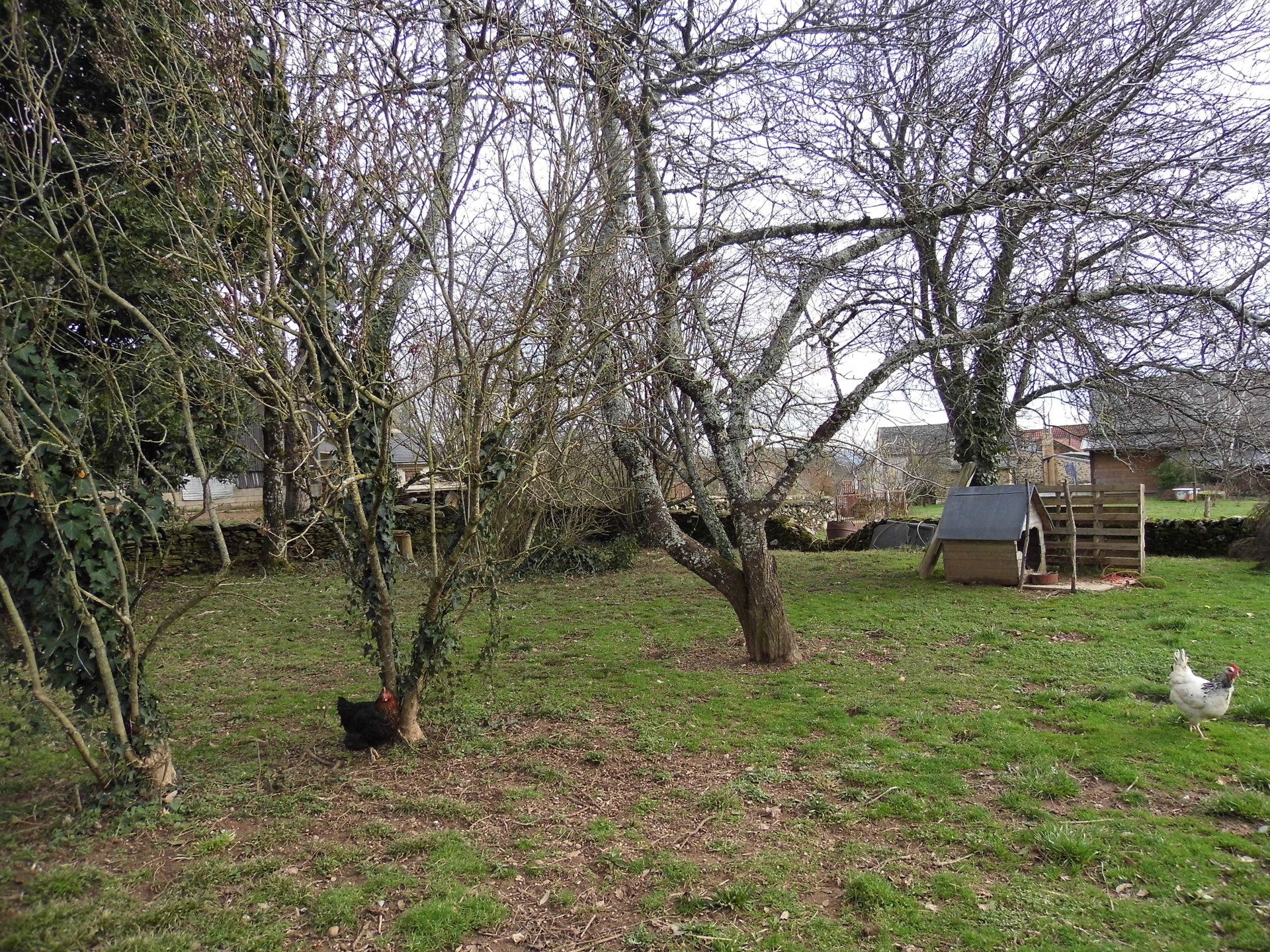 Casa nel Montirat, Occitanie 10099272