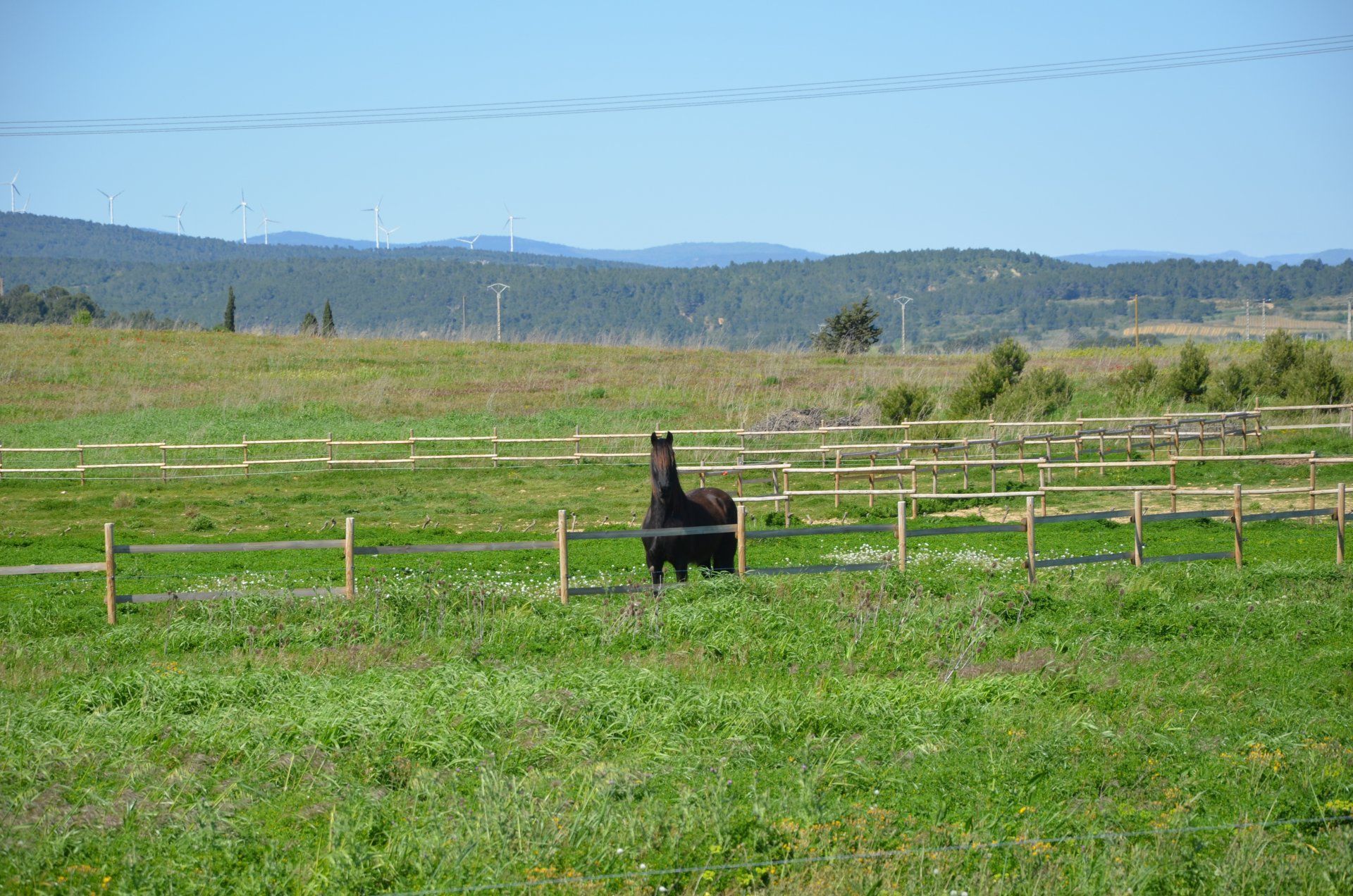 Muu sisään Lezignan-Corbieres, Languedoc-Roussillon 10099498