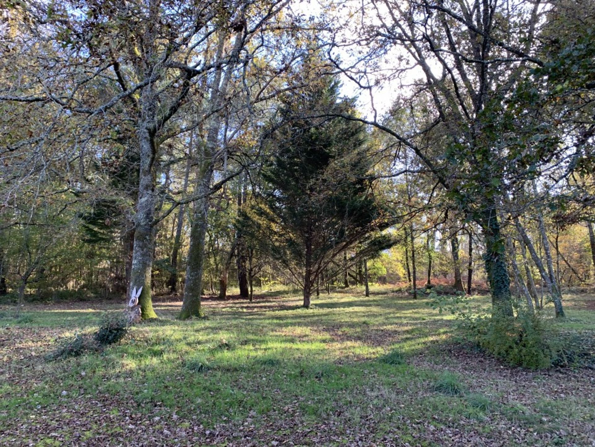 casa en Bourgnac, Nouvelle-Aquitaine 10099529